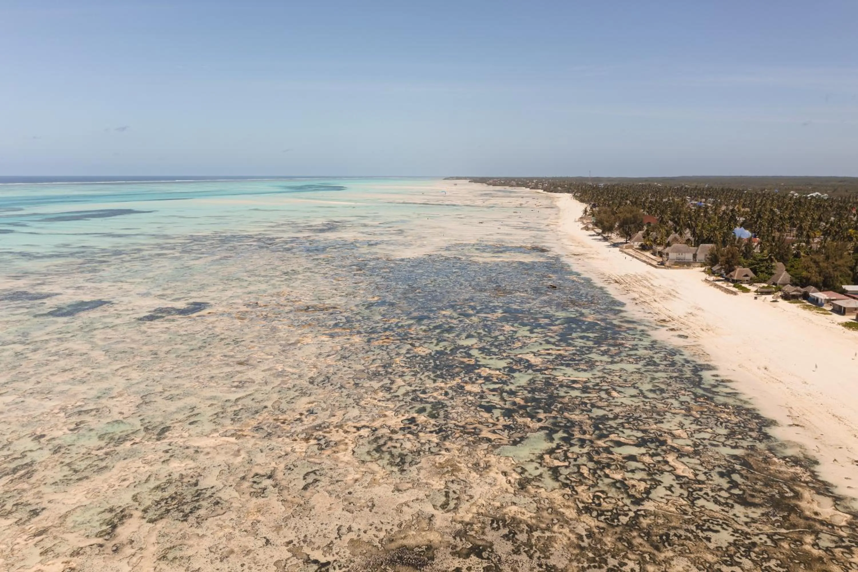 Natural landscape in Cinnamon Hotel