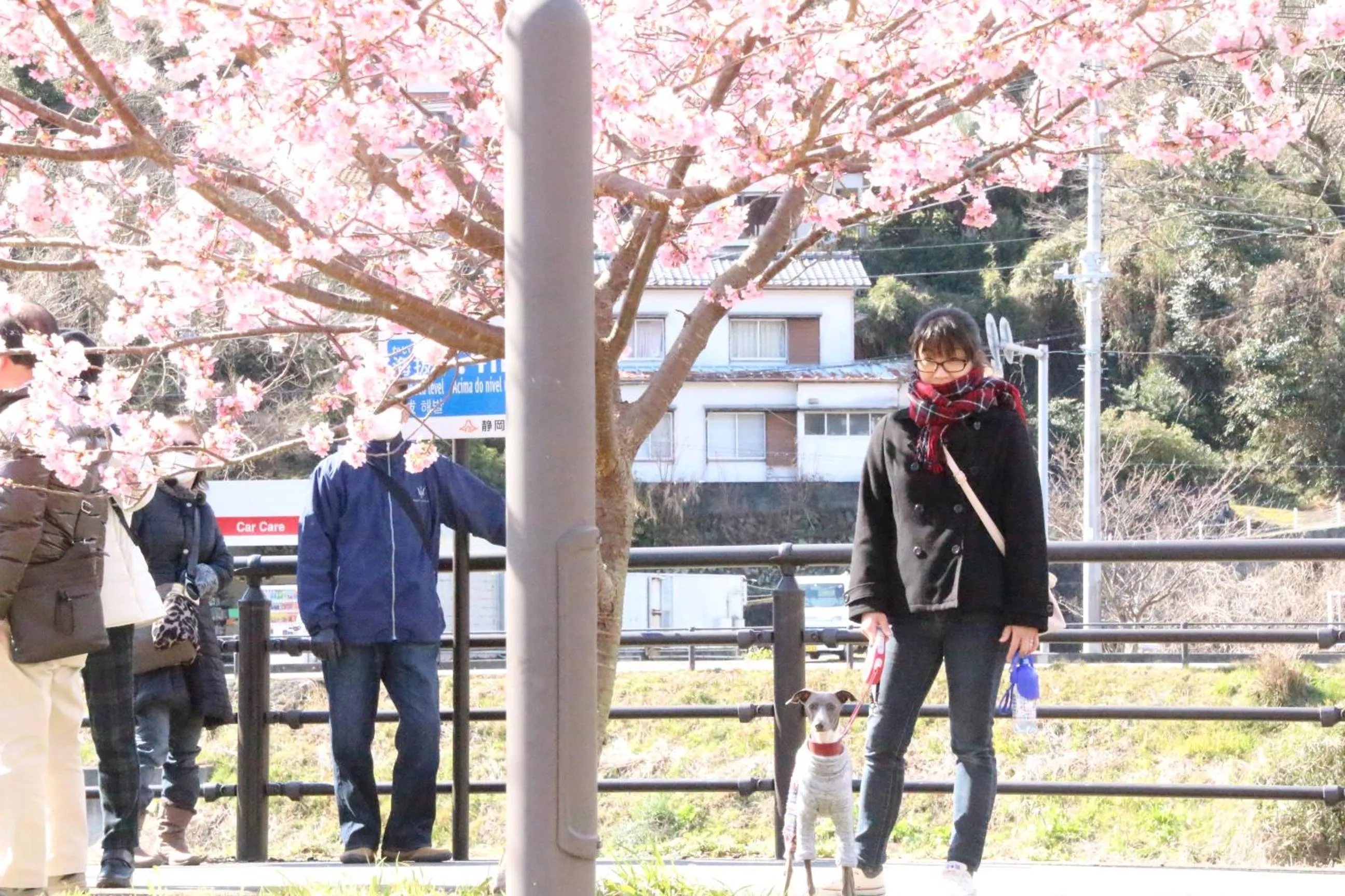 Spring in Beach Commune Simploose (Adult Only)