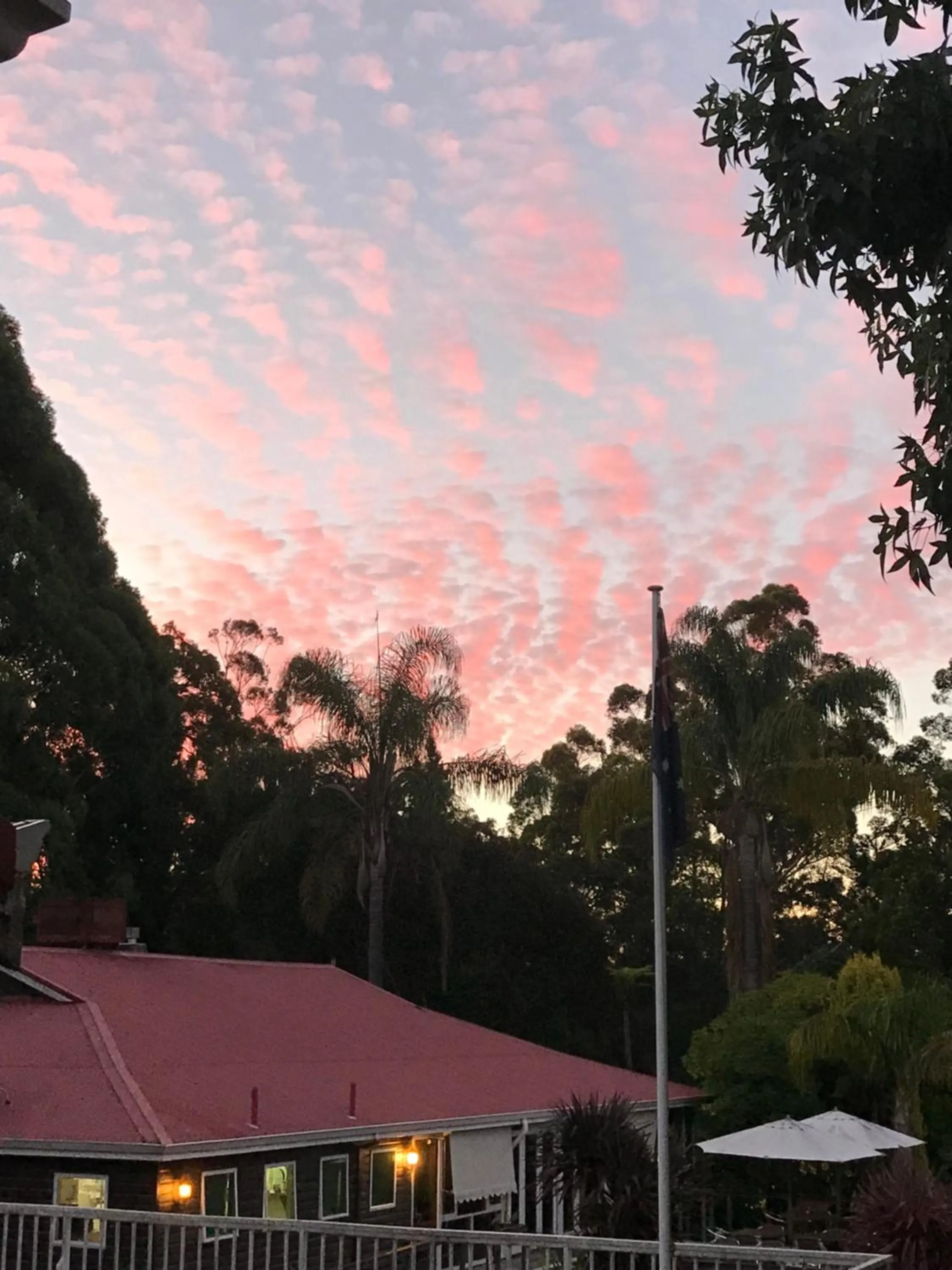 Garden view in Forest Lodge Resort