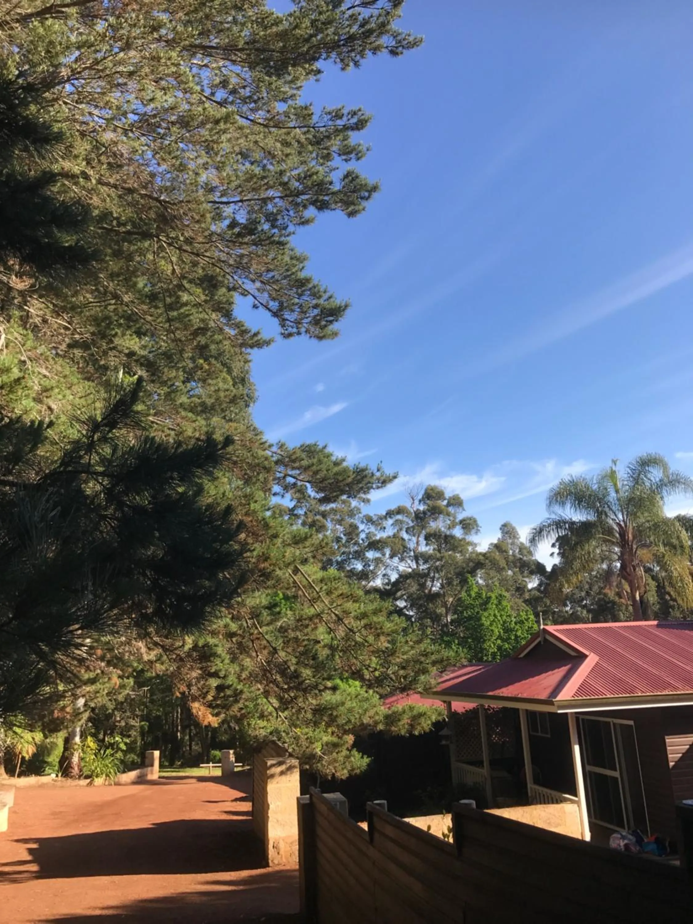 Patio in Forest Lodge Resort