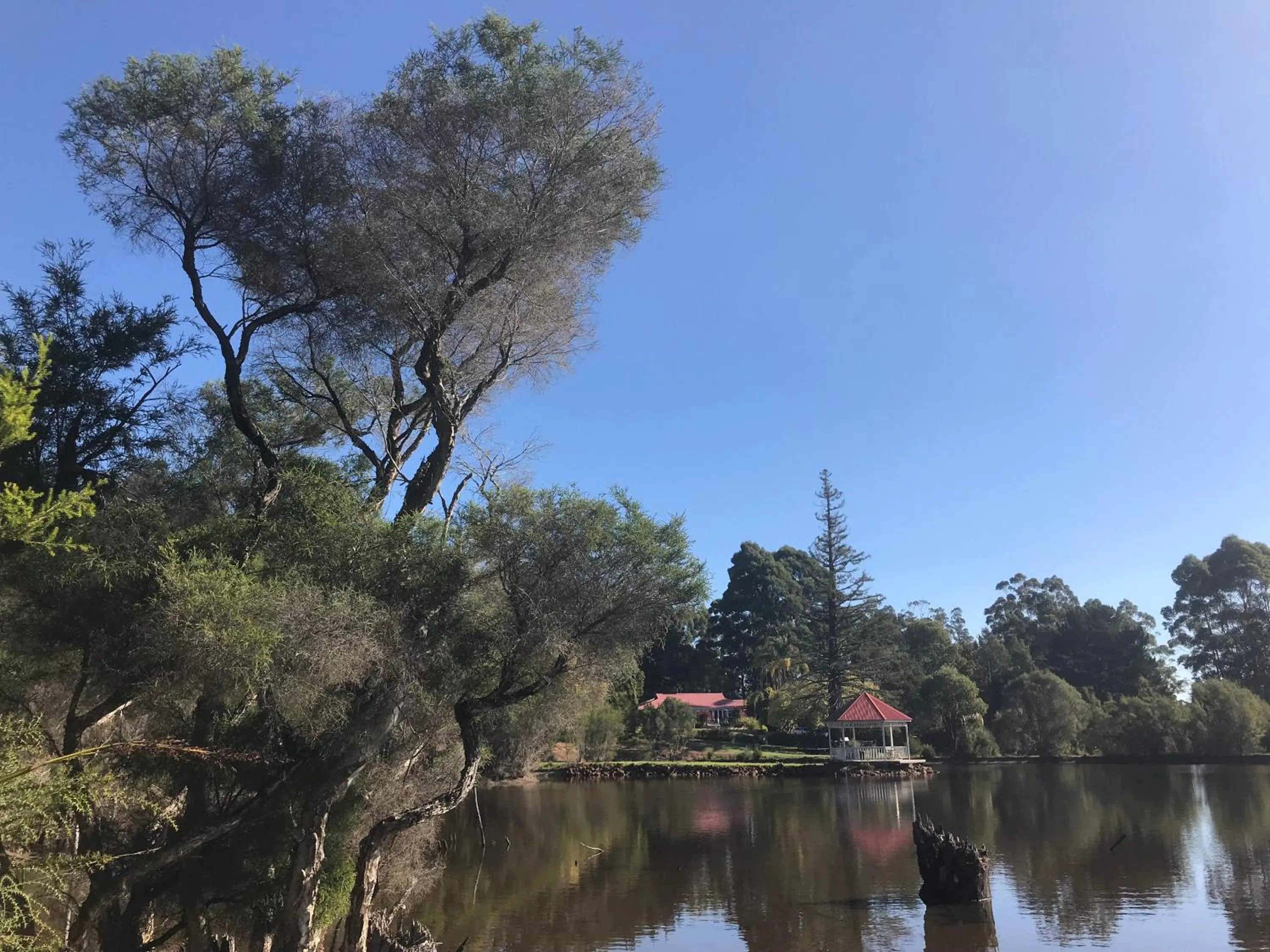 Spring in Forest Lodge Resort