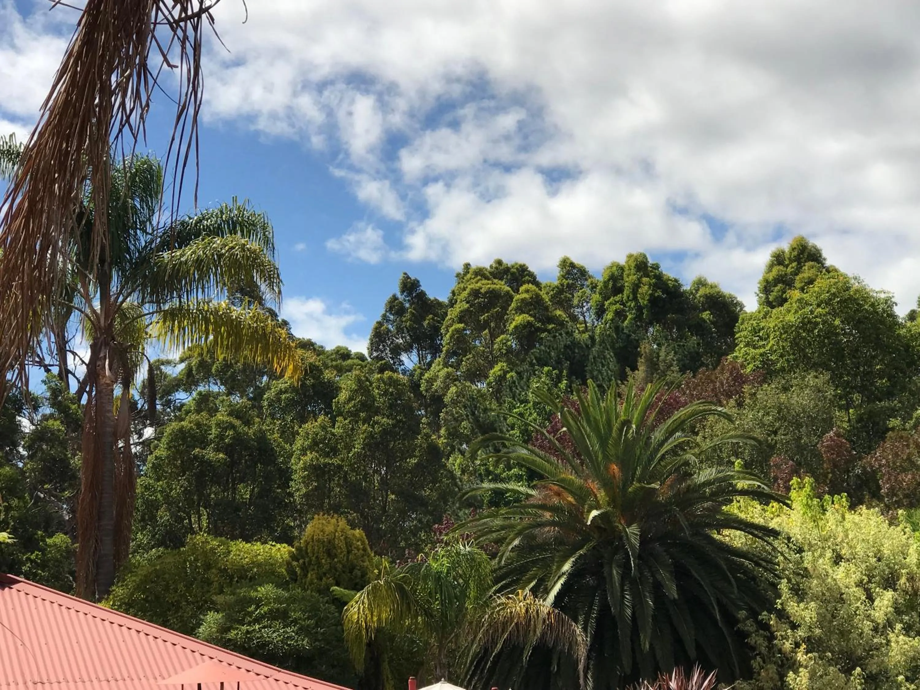 Garden in Forest Lodge Resort