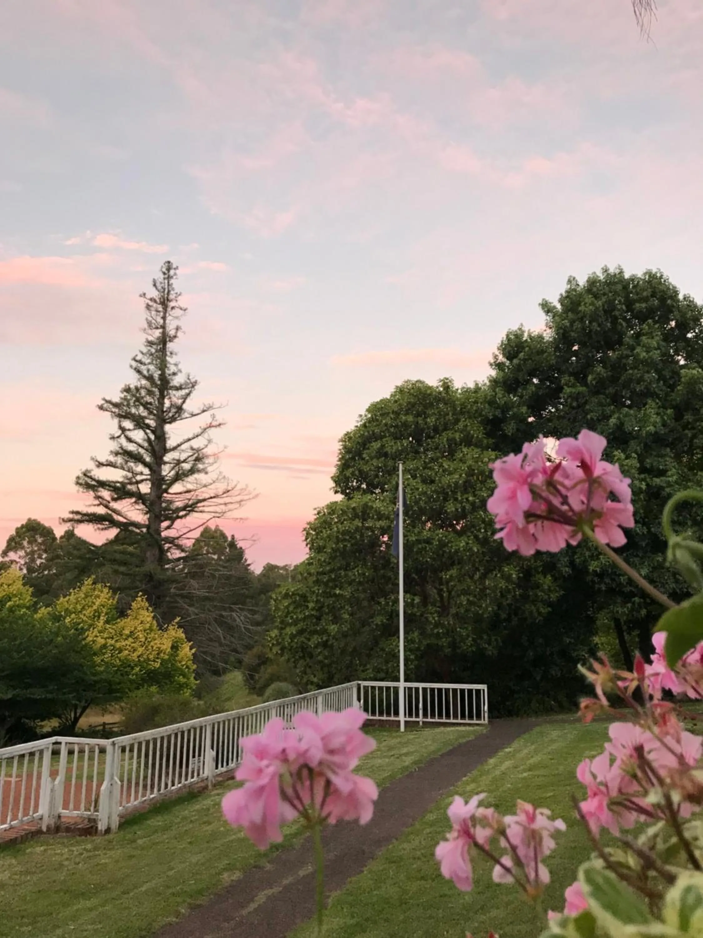 Natural landscape in Forest Lodge Resort