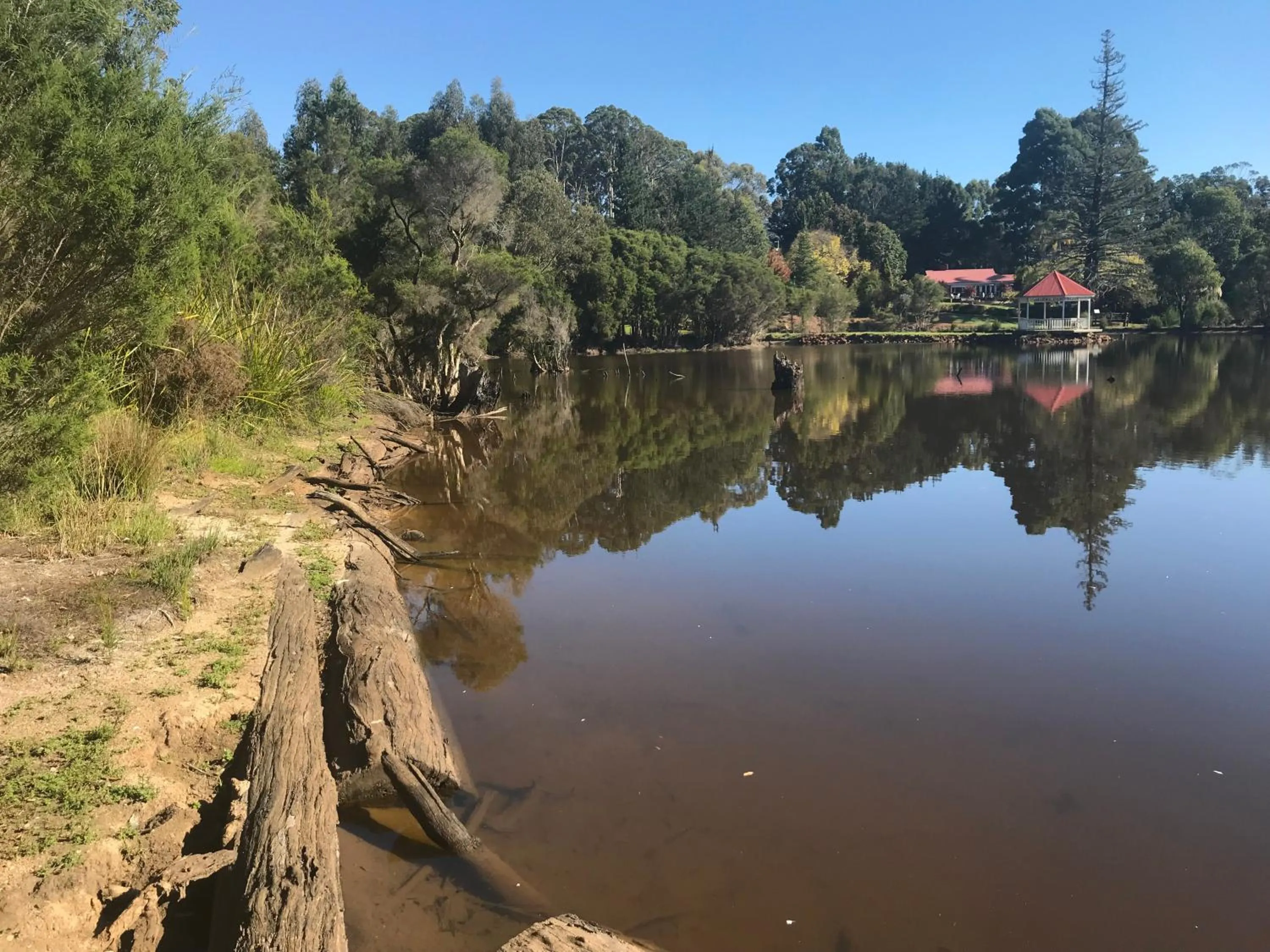 Garden in Forest Lodge Resort