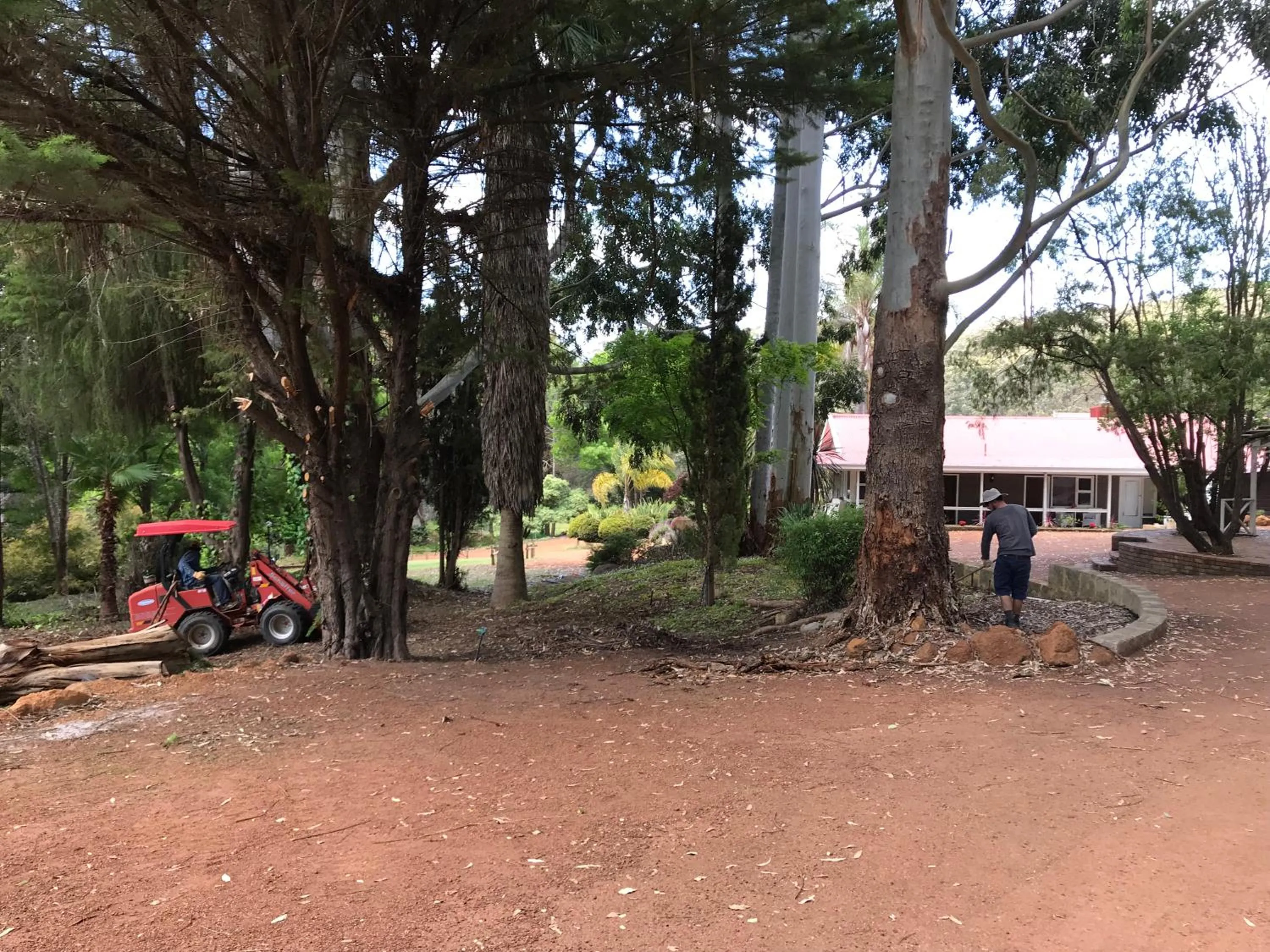 Natural landscape in Forest Lodge Resort