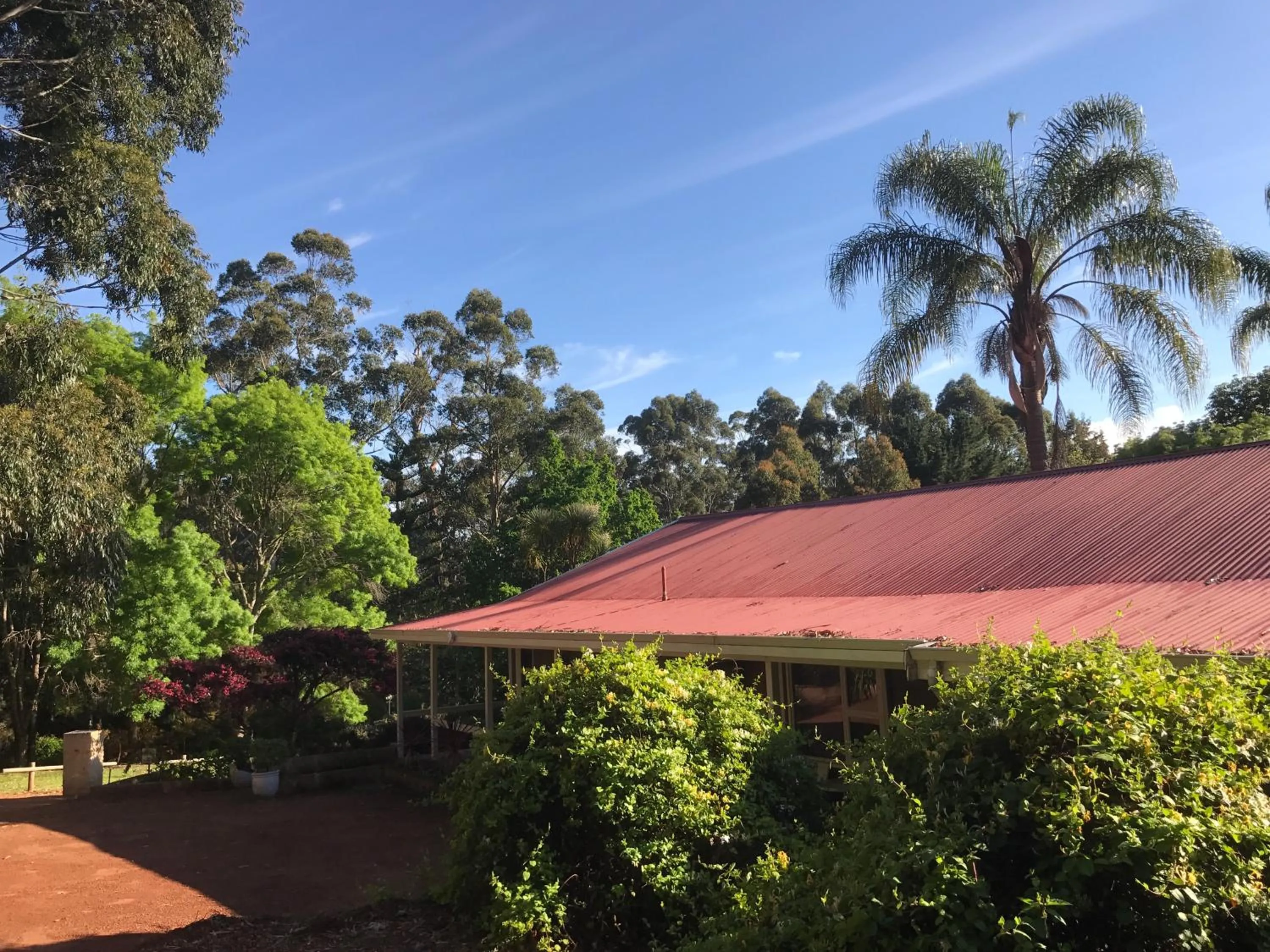 Day in Forest Lodge Resort