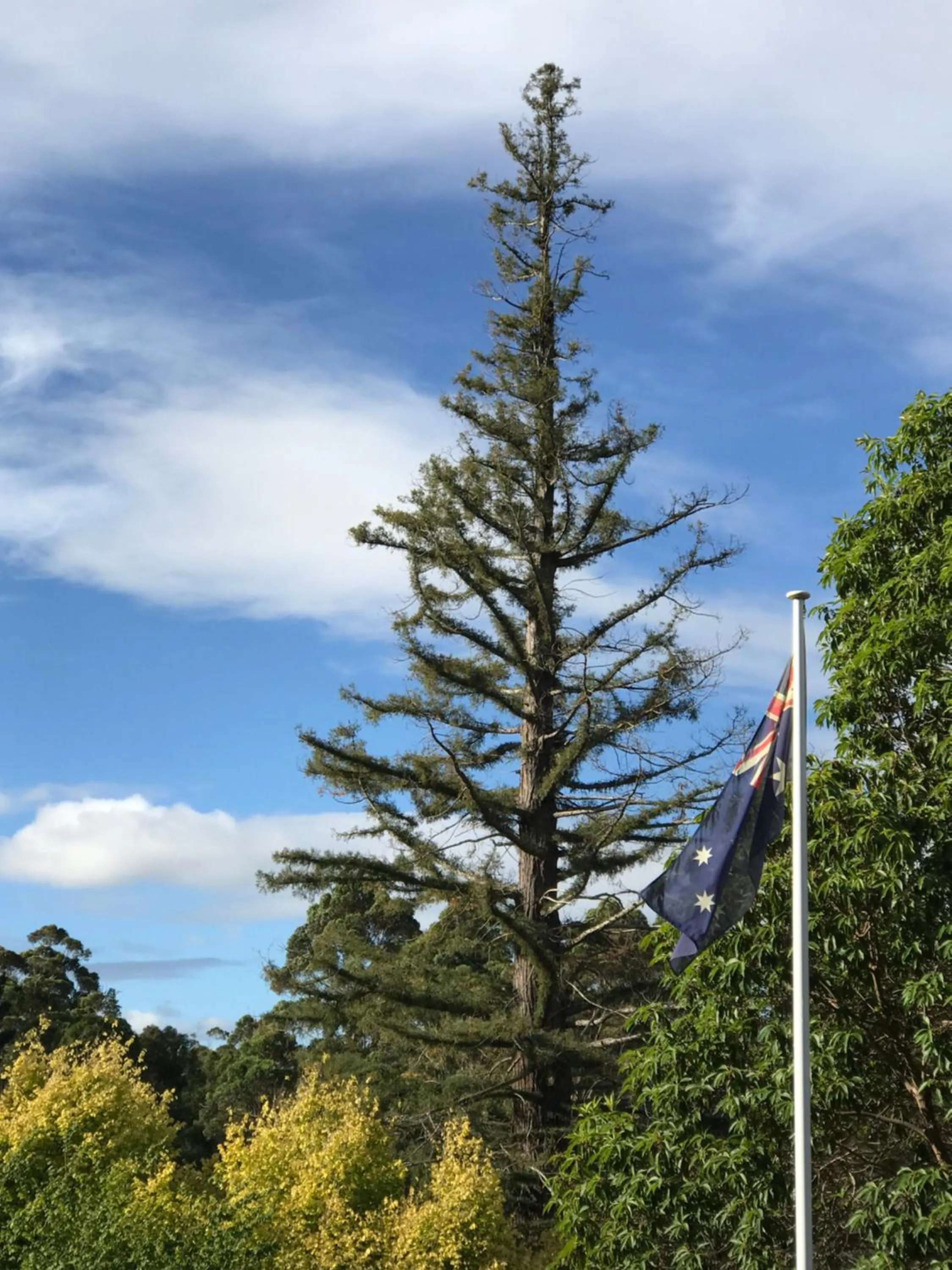 Day in Forest Lodge Resort