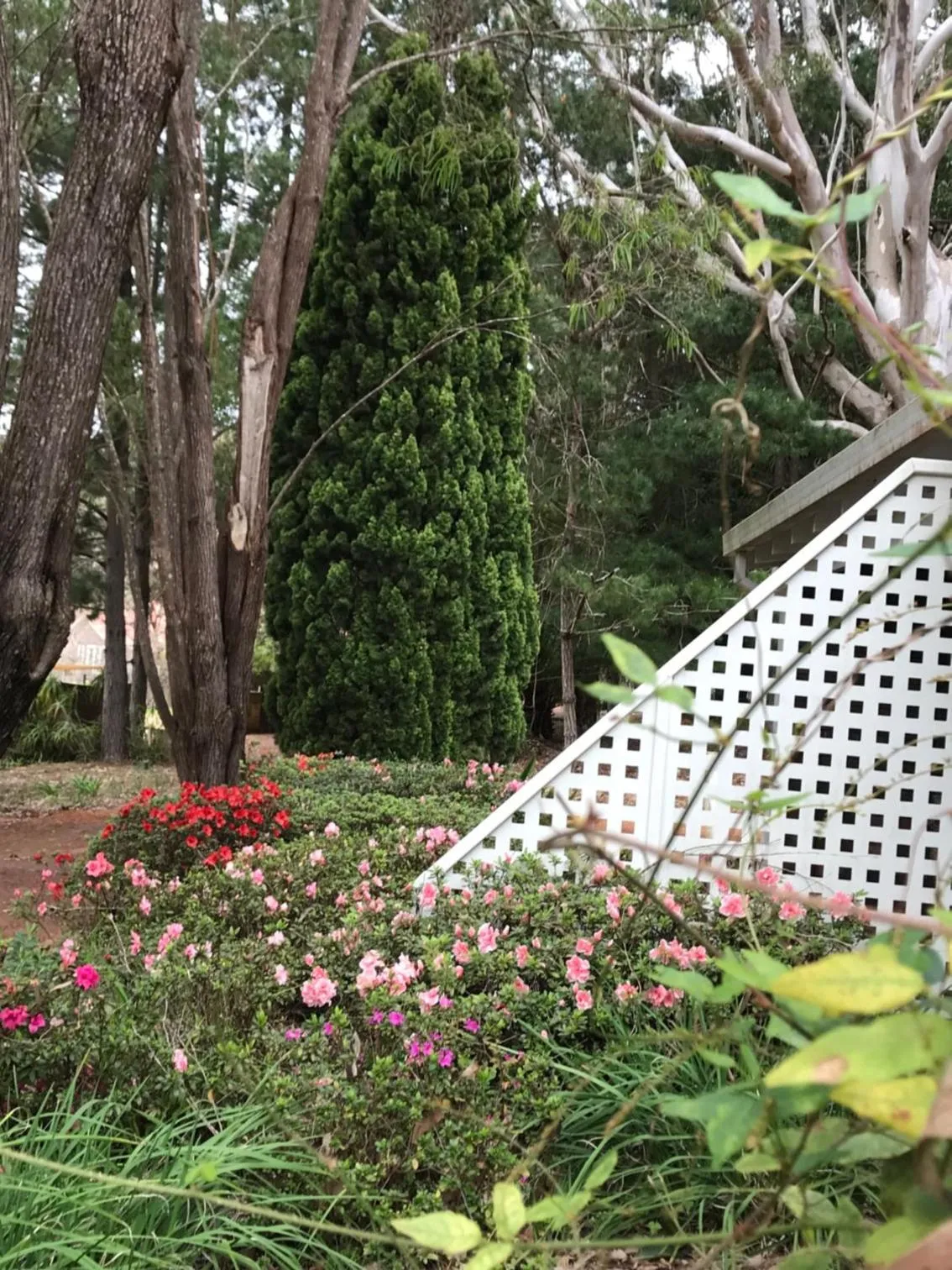 Garden in Forest Lodge Resort