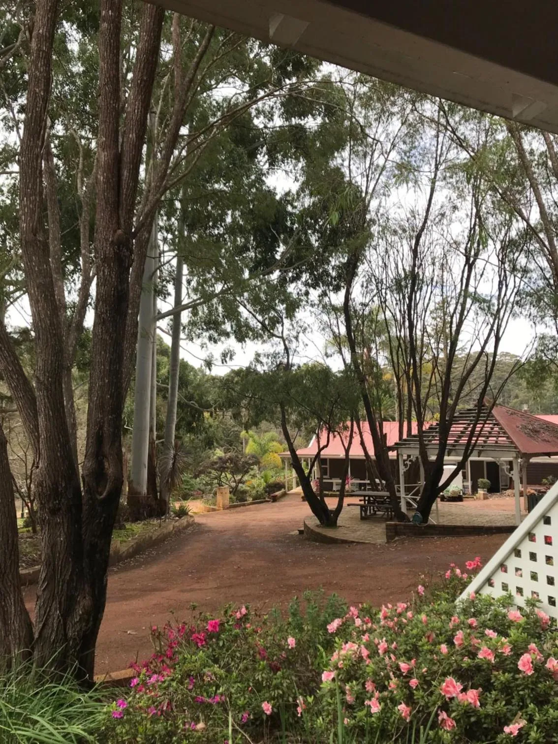 Day in Forest Lodge Resort