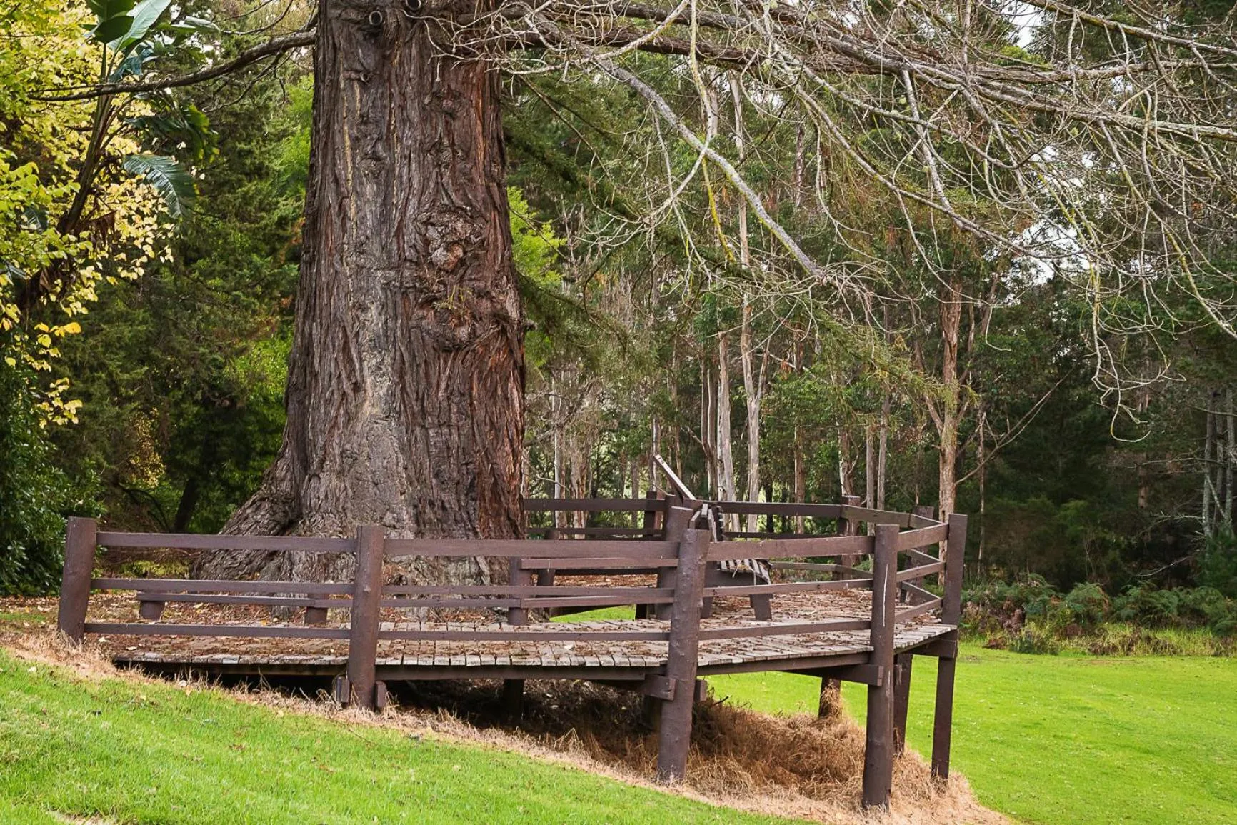 On site in Forest Lodge Resort