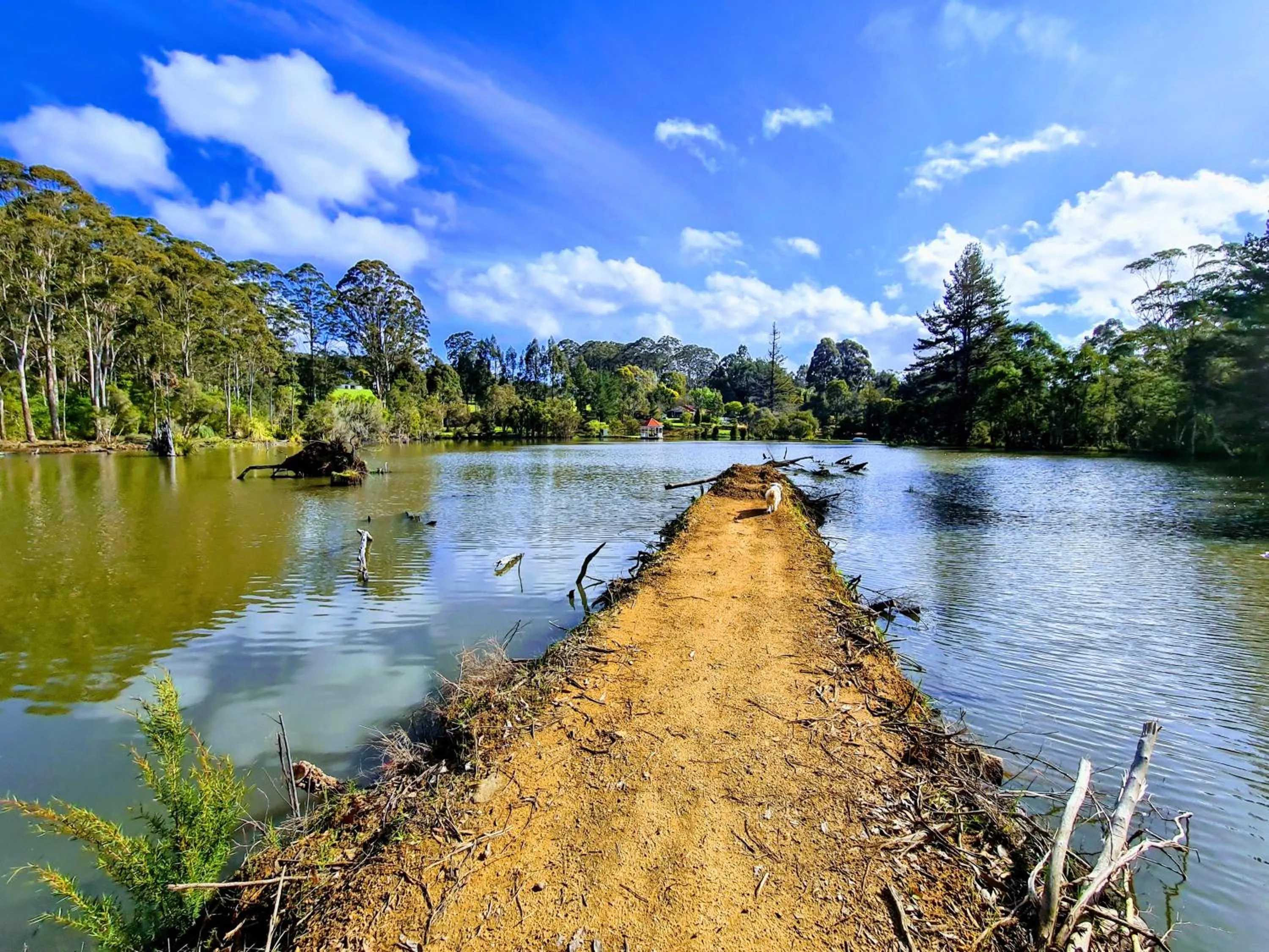 Spring in Forest Lodge Resort