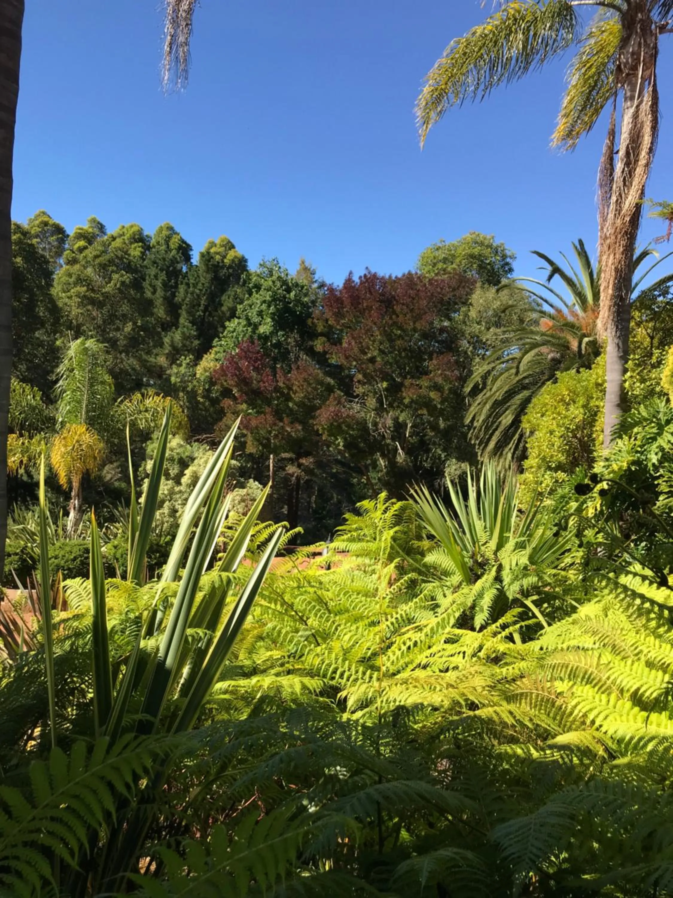 Day in Forest Lodge Resort