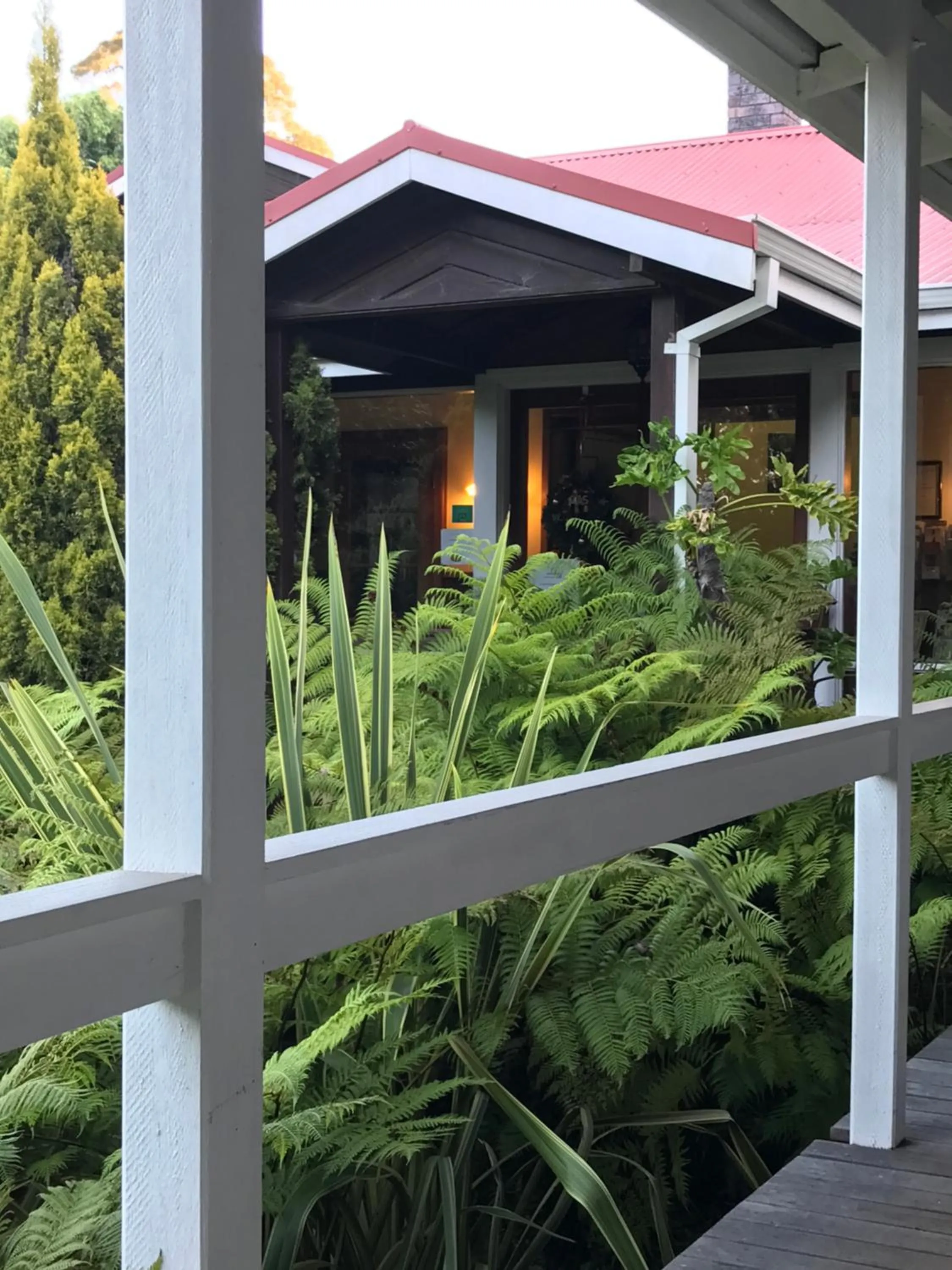 Property building in Forest Lodge Resort