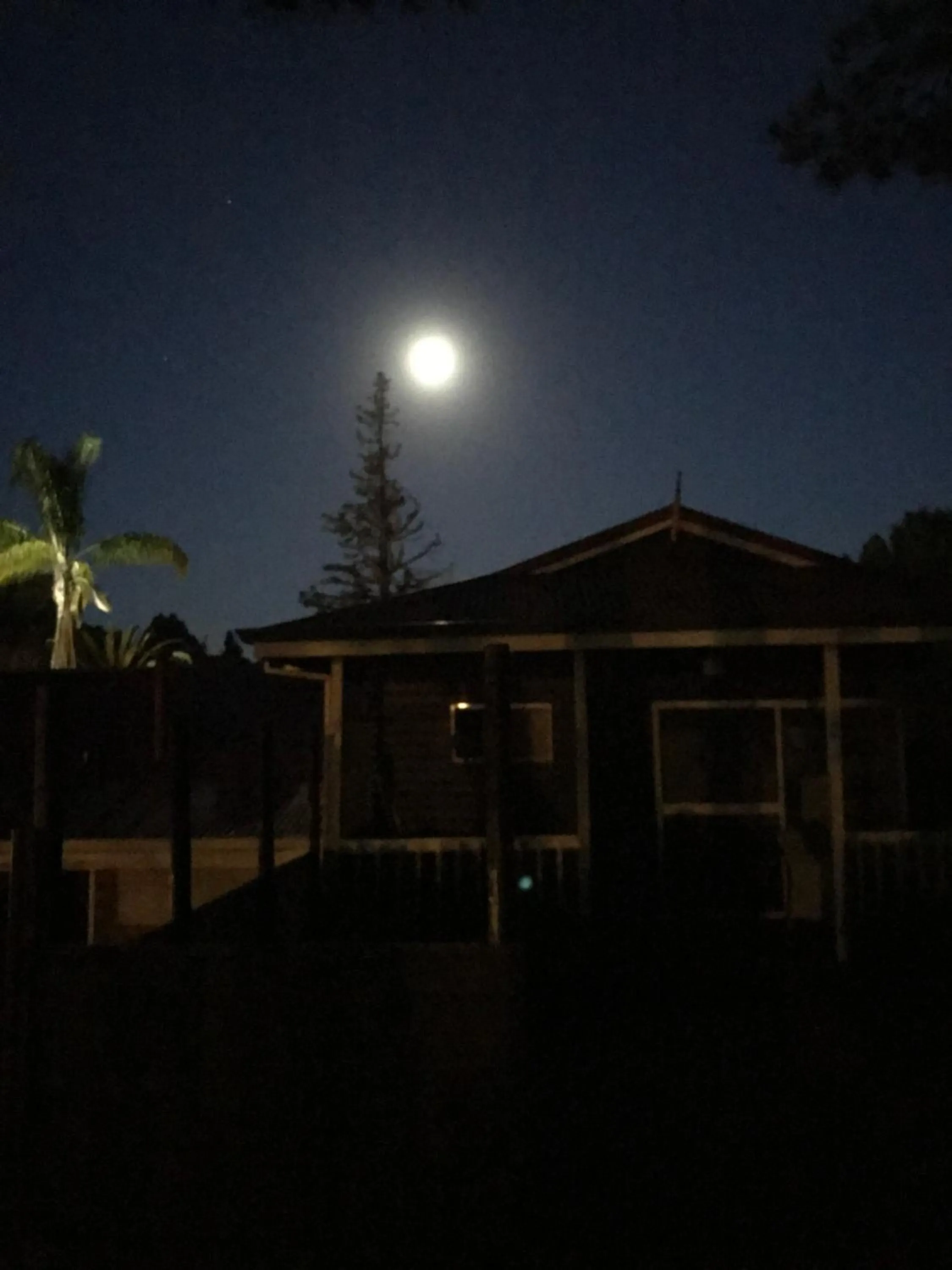 Property building in Forest Lodge Resort