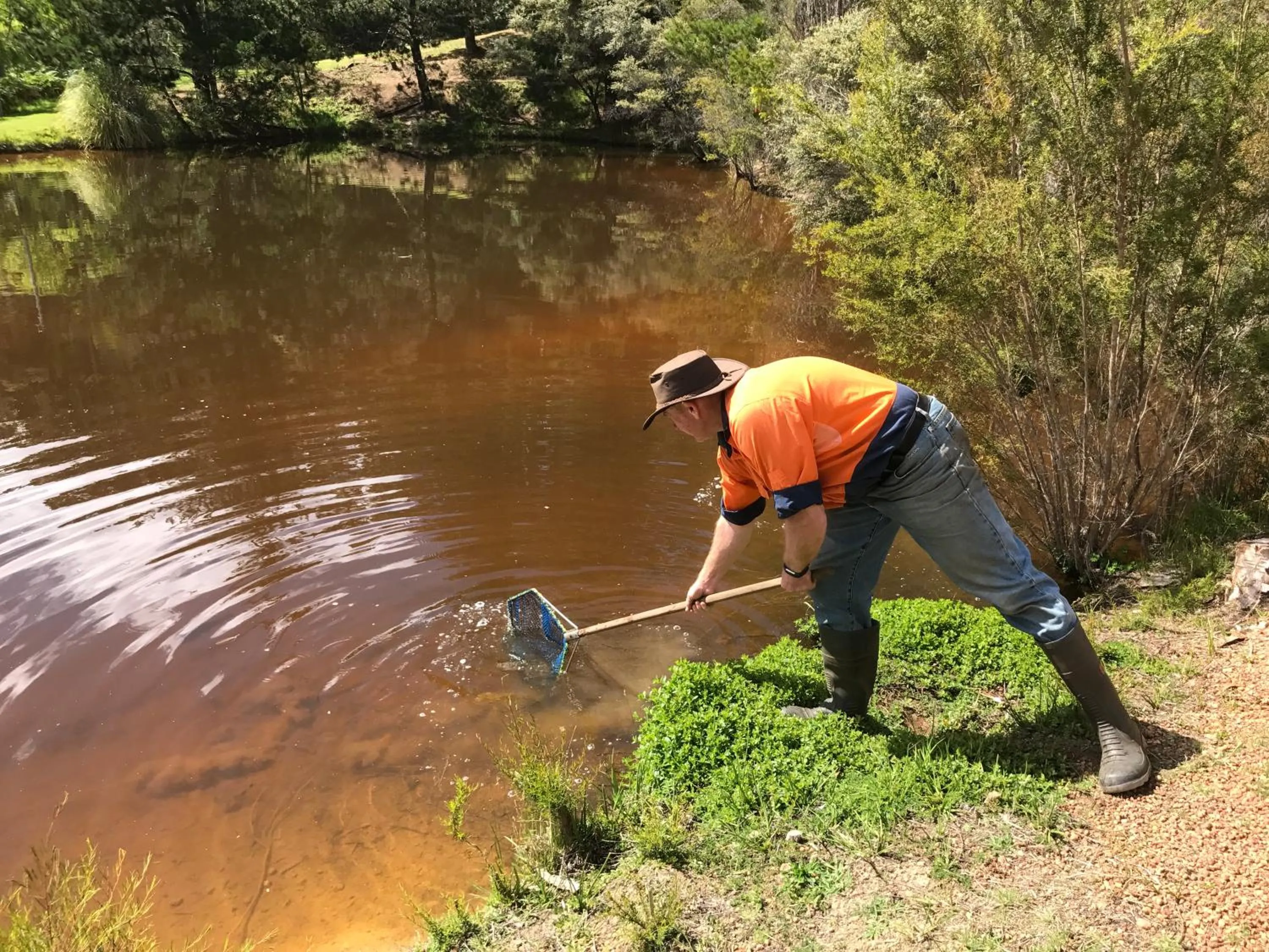 Property building in Forest Lodge Resort