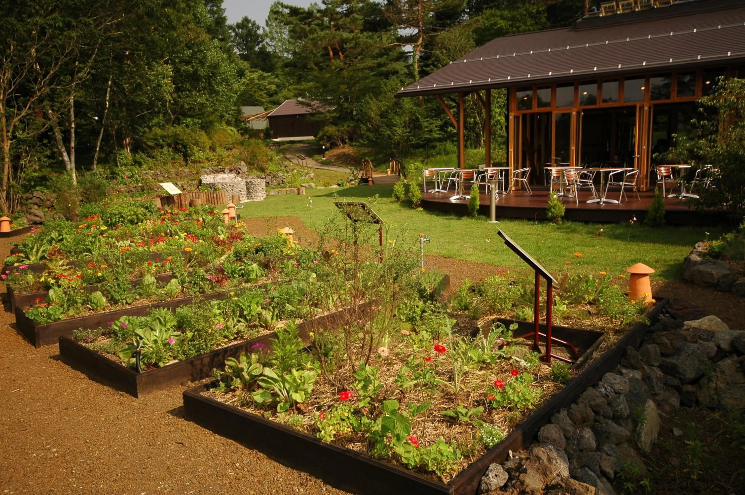 Garden in PICA Yamanakako Village