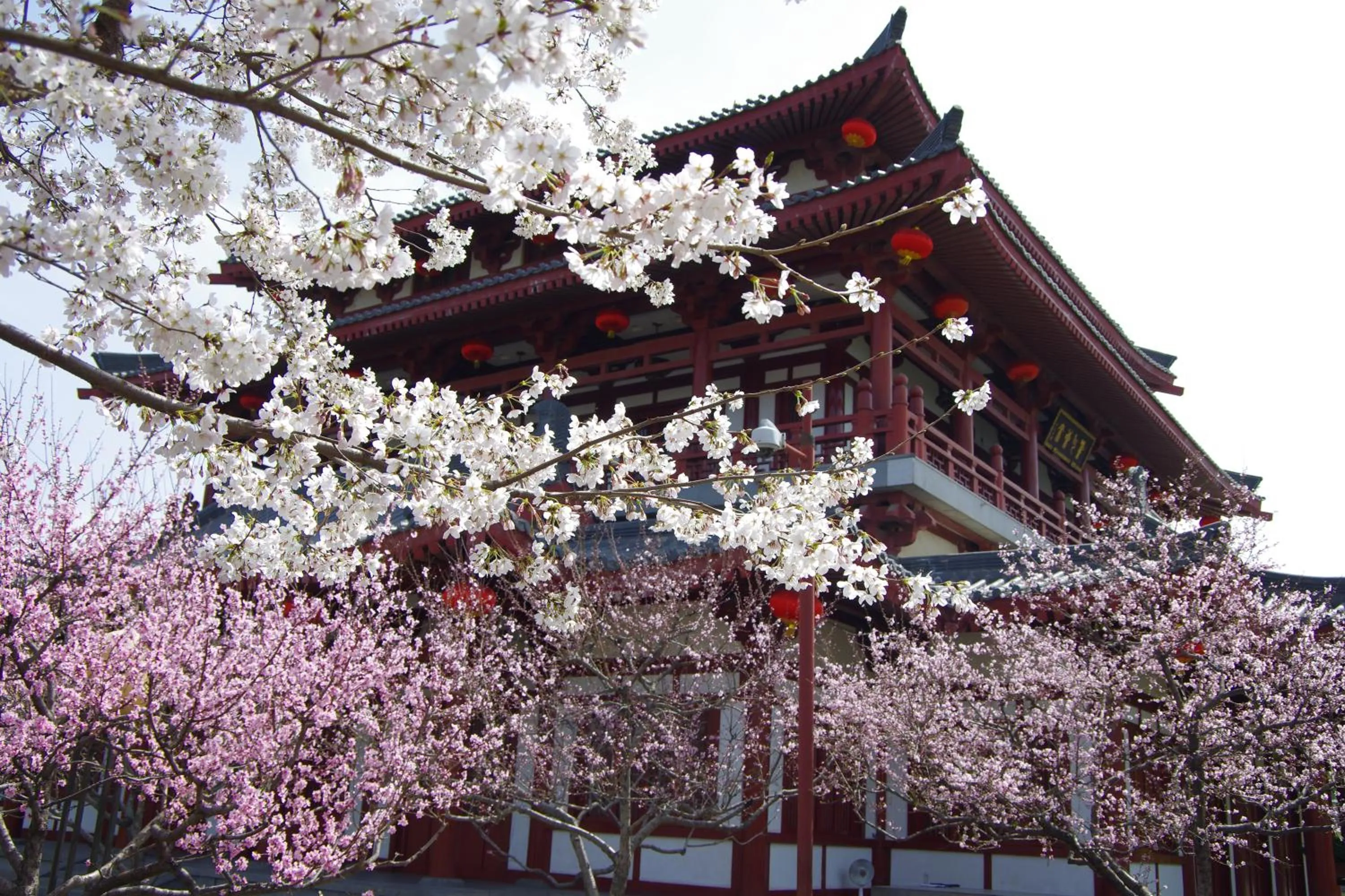 Other in lyf Dayanta Xi'an by the Ascott Limited free gym & free park & free laundry room