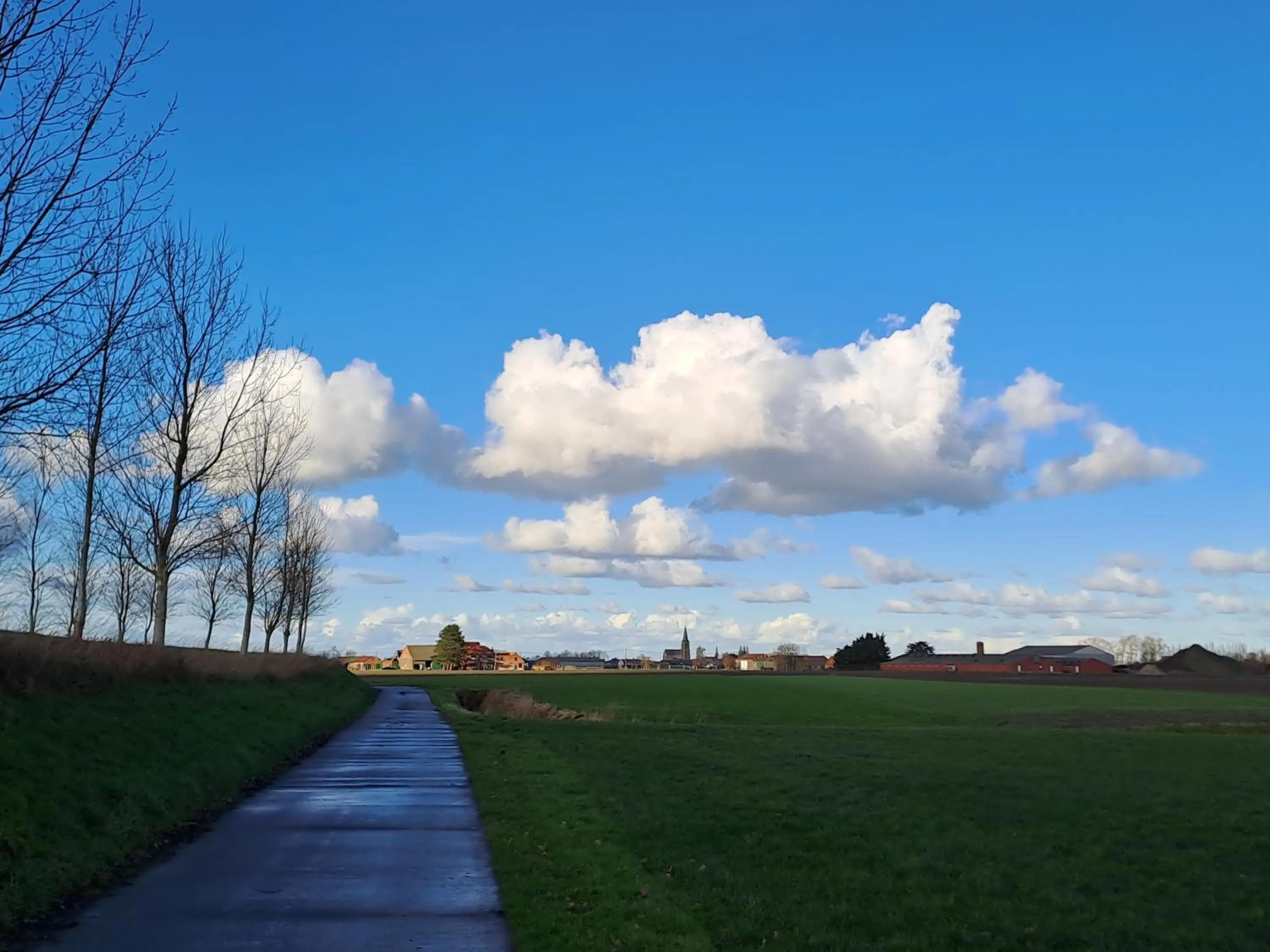 Natural landscape in B&B De Hemelse Polder