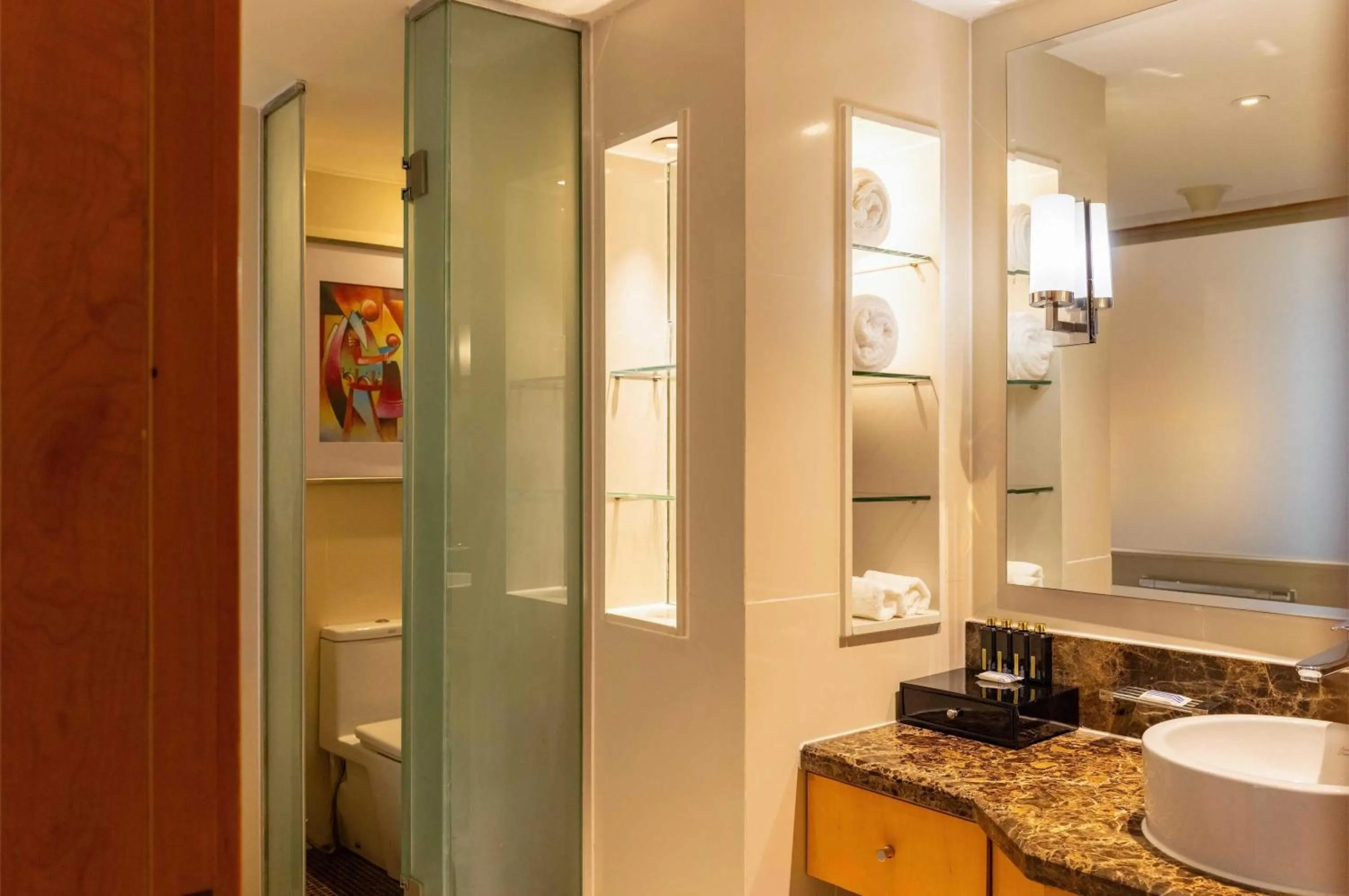 Toilet in Lagos Continental Hotel