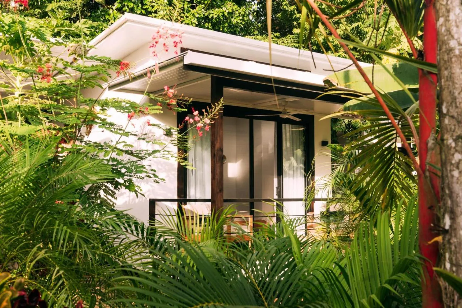 Garden in La Prometida