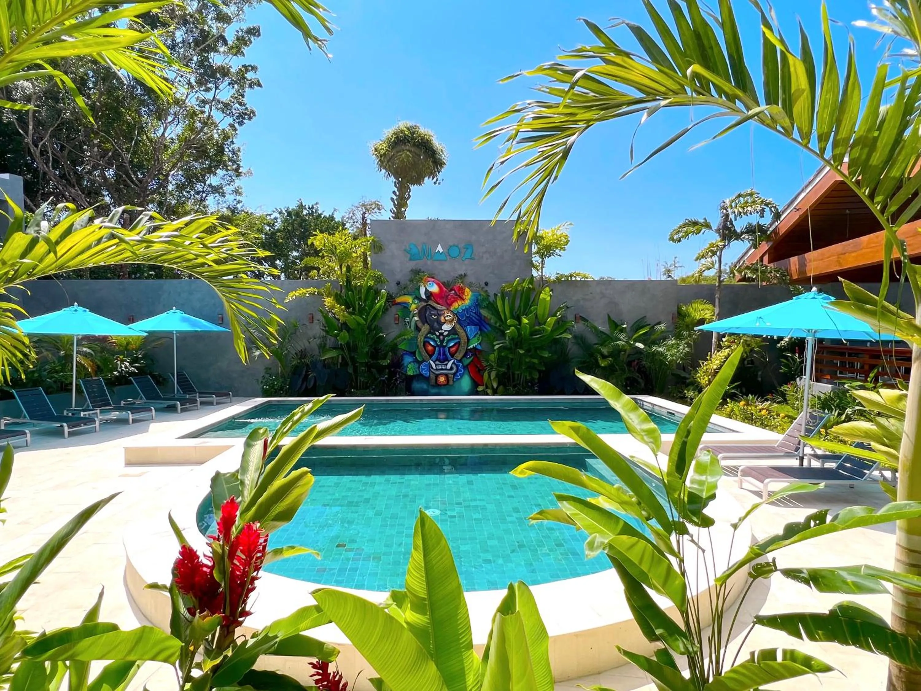 Swimming pool in Hotel Naoz