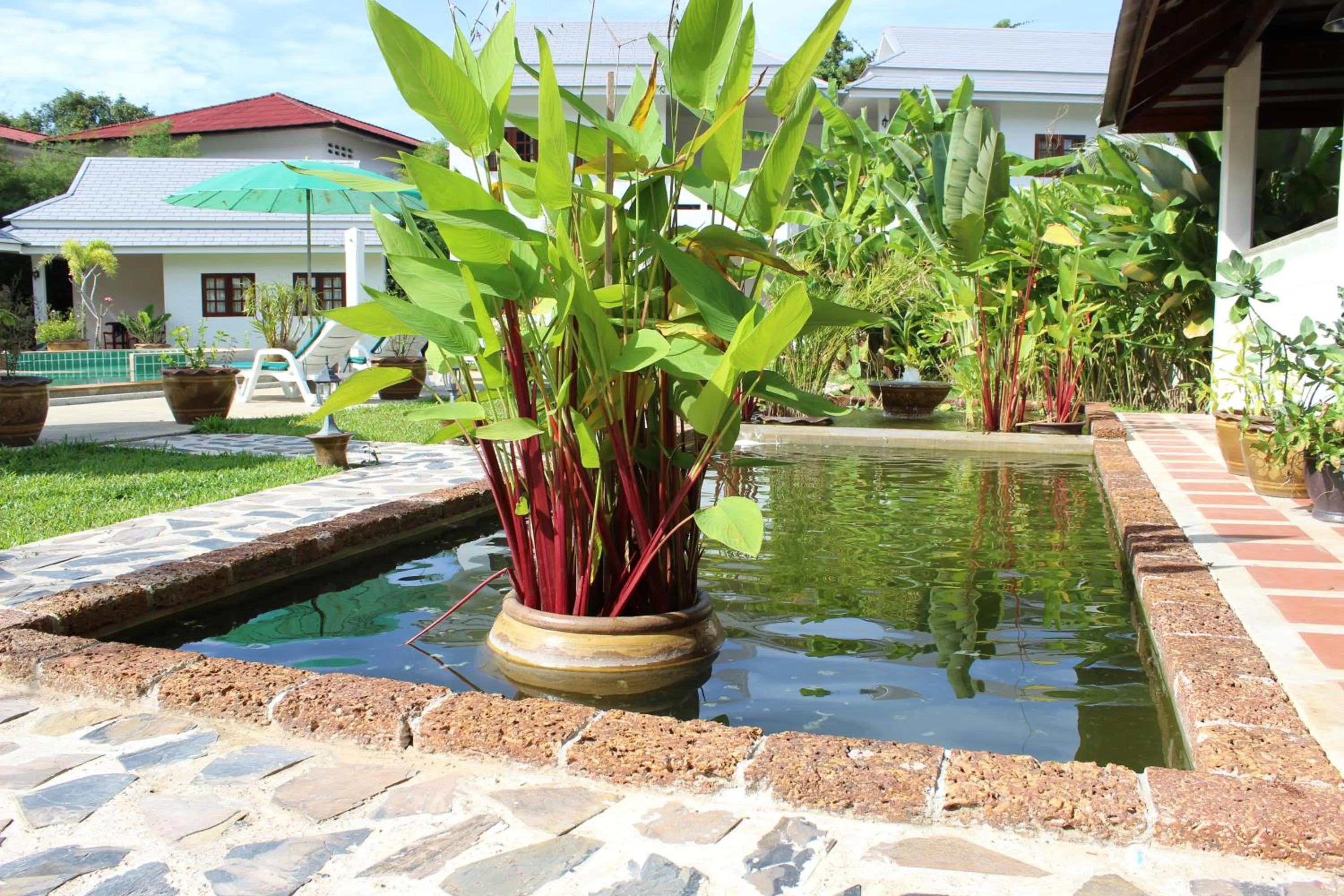 Garden view in Villa Colina Khao Lak Rooms and Bungalows - Adults Only