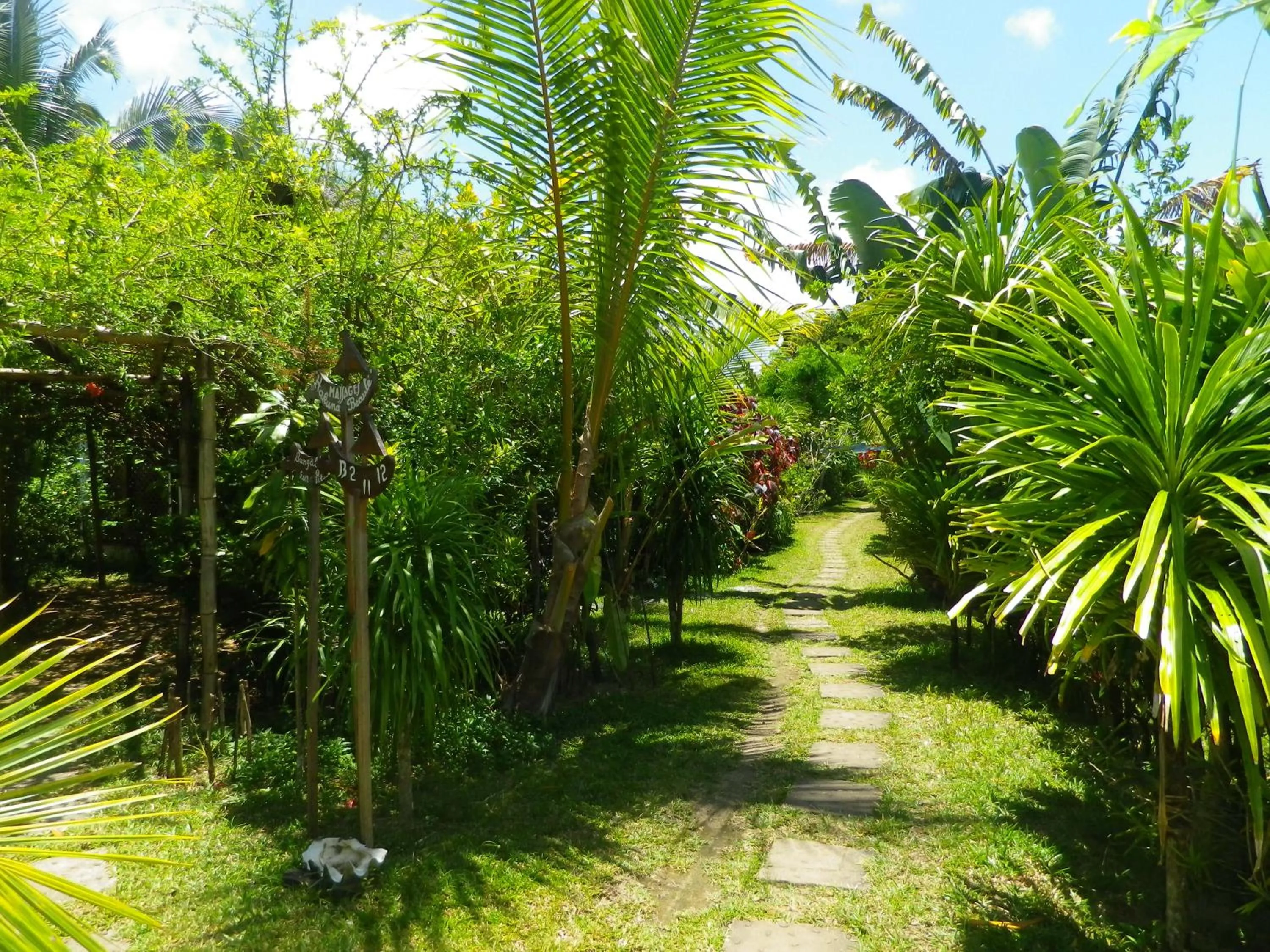 Garden view in Lakana Hotel
