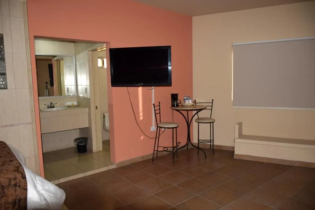 TV and multimedia in Hotel Parque Inn