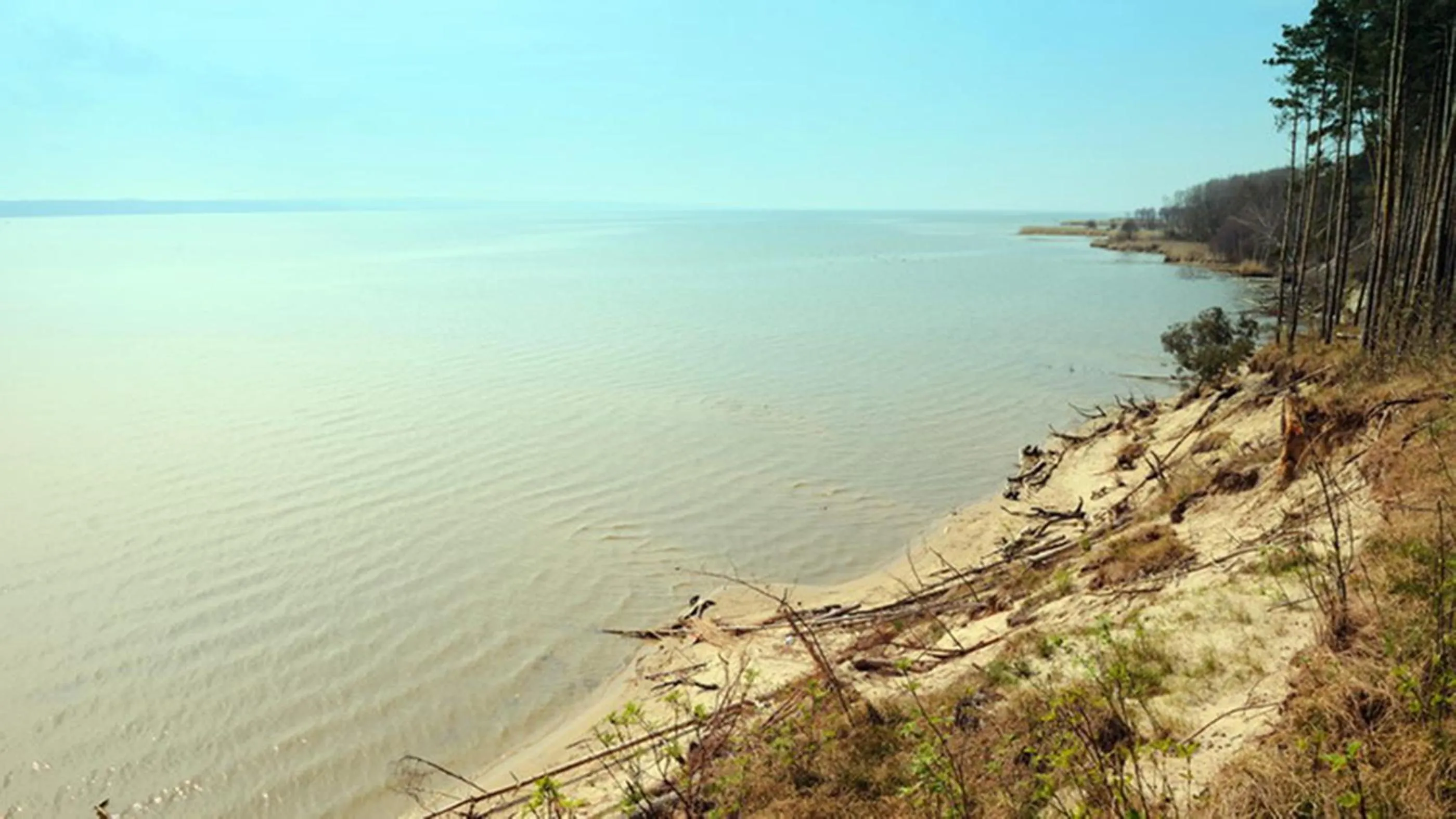 Spring in Four Winds