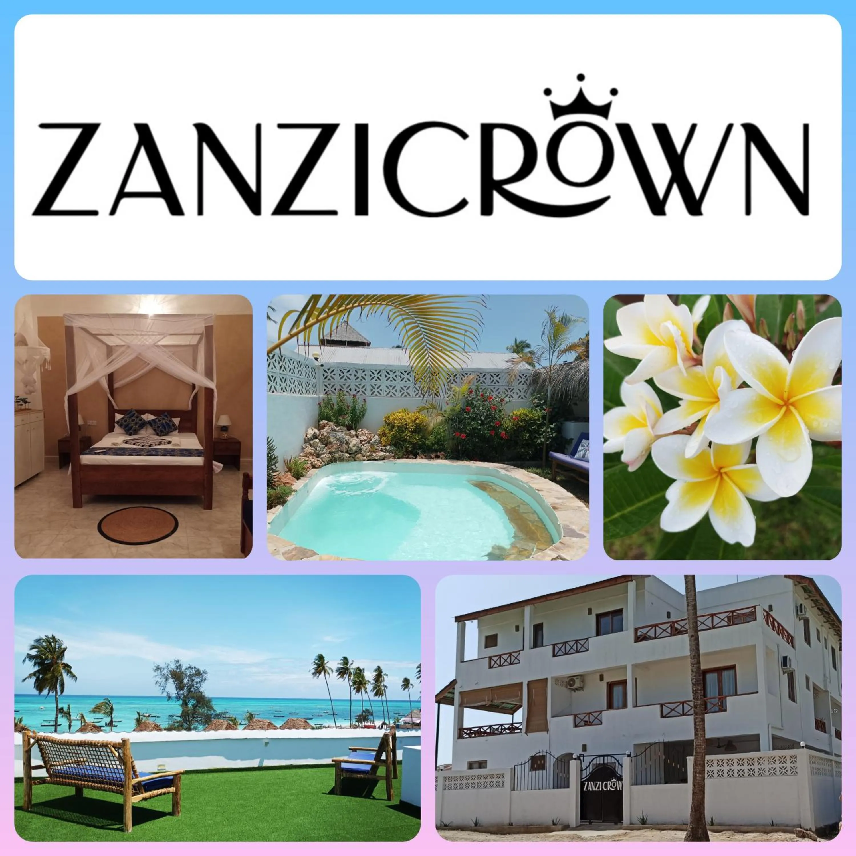 Zanzicrown
