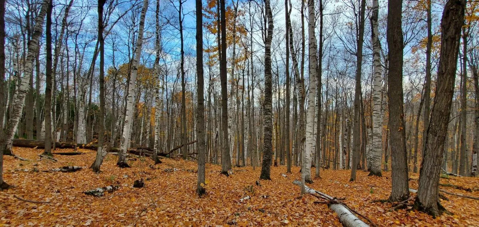 Hiking in Penny's Motel