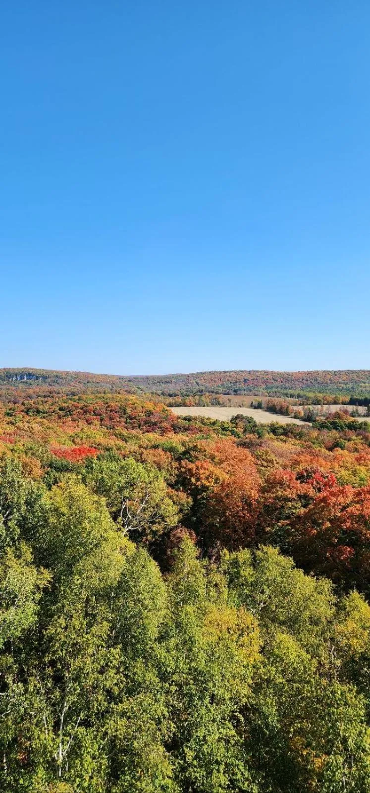 Hiking in Penny's Motel