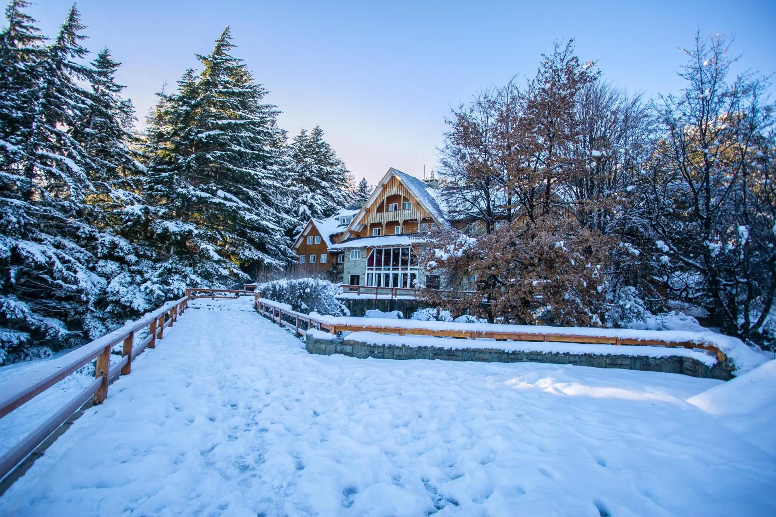 Natural landscape in Hotel Tunquelén