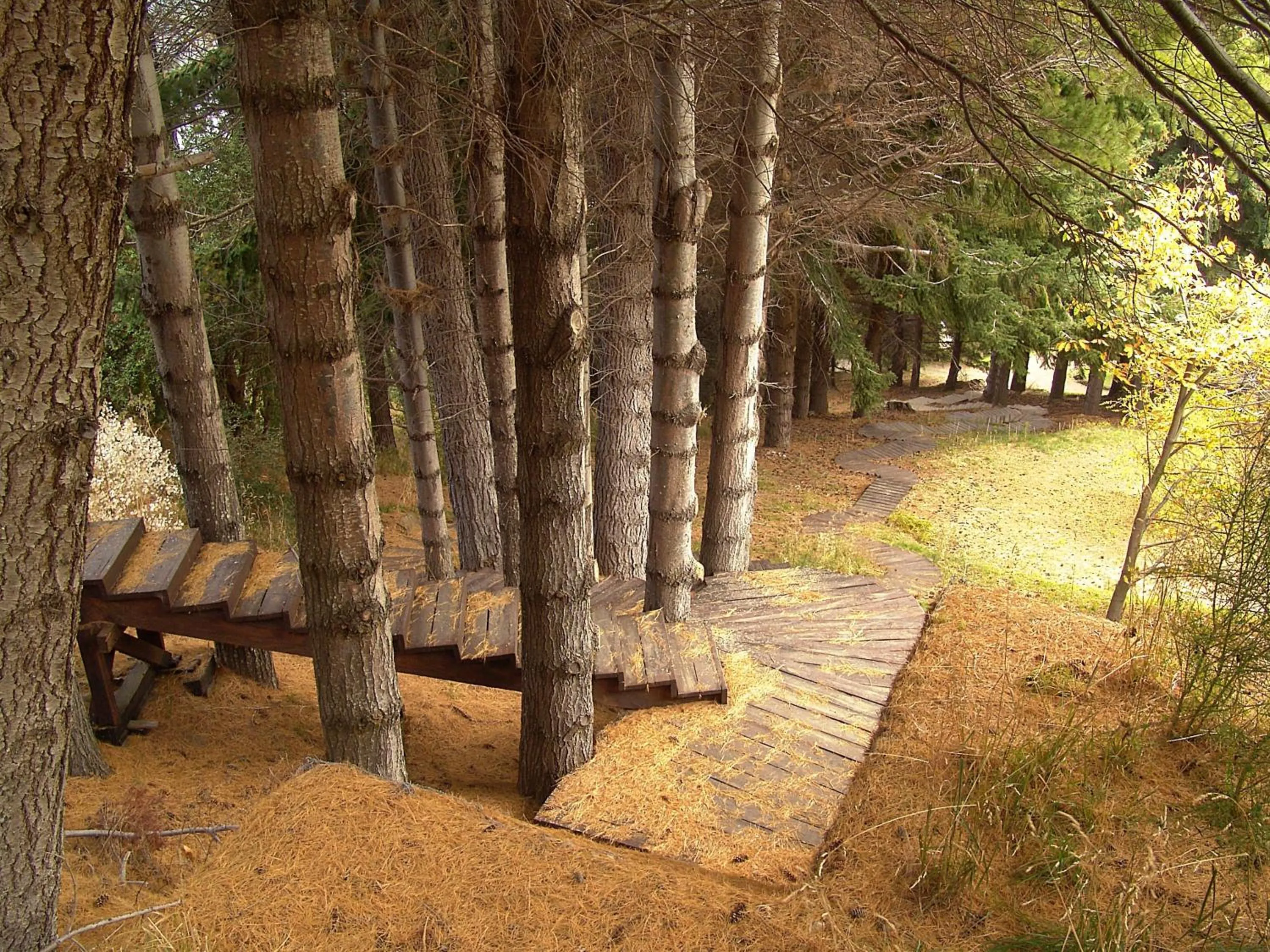 Garden in Hotel Tunquelén