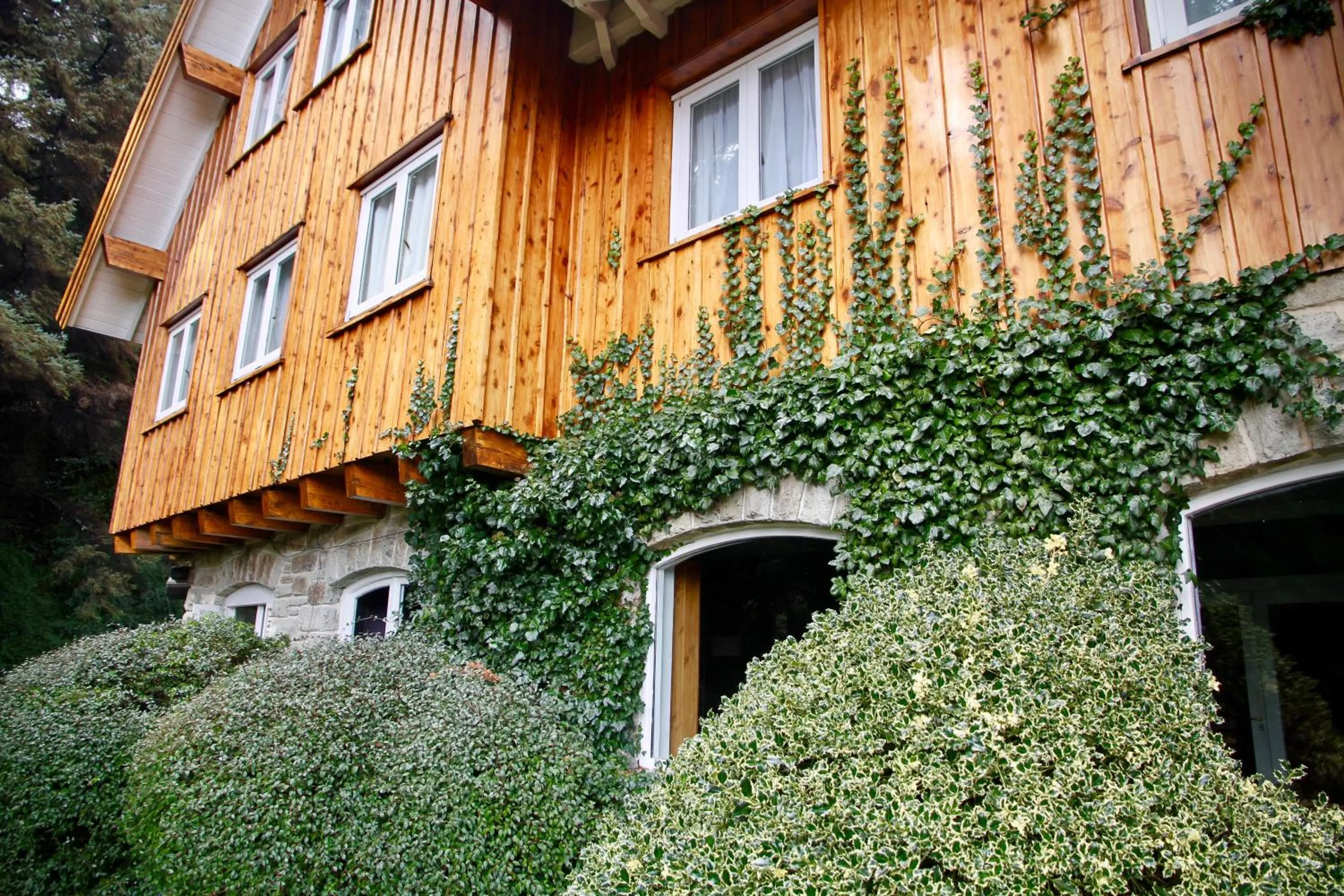 Property building in Hotel Tunquelén