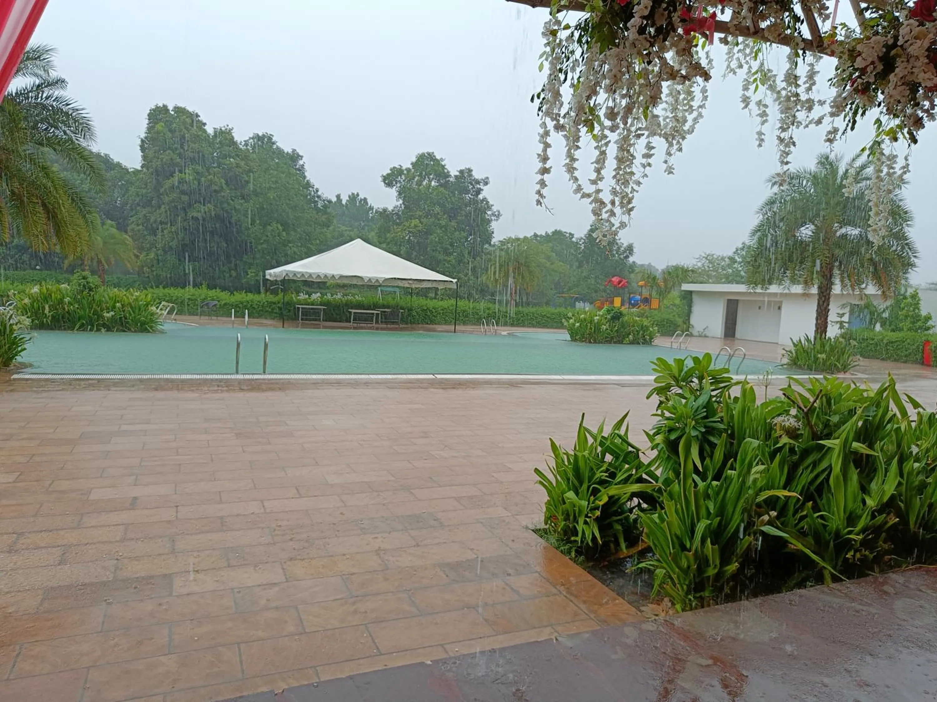 Swimming pool in Savitri Resort