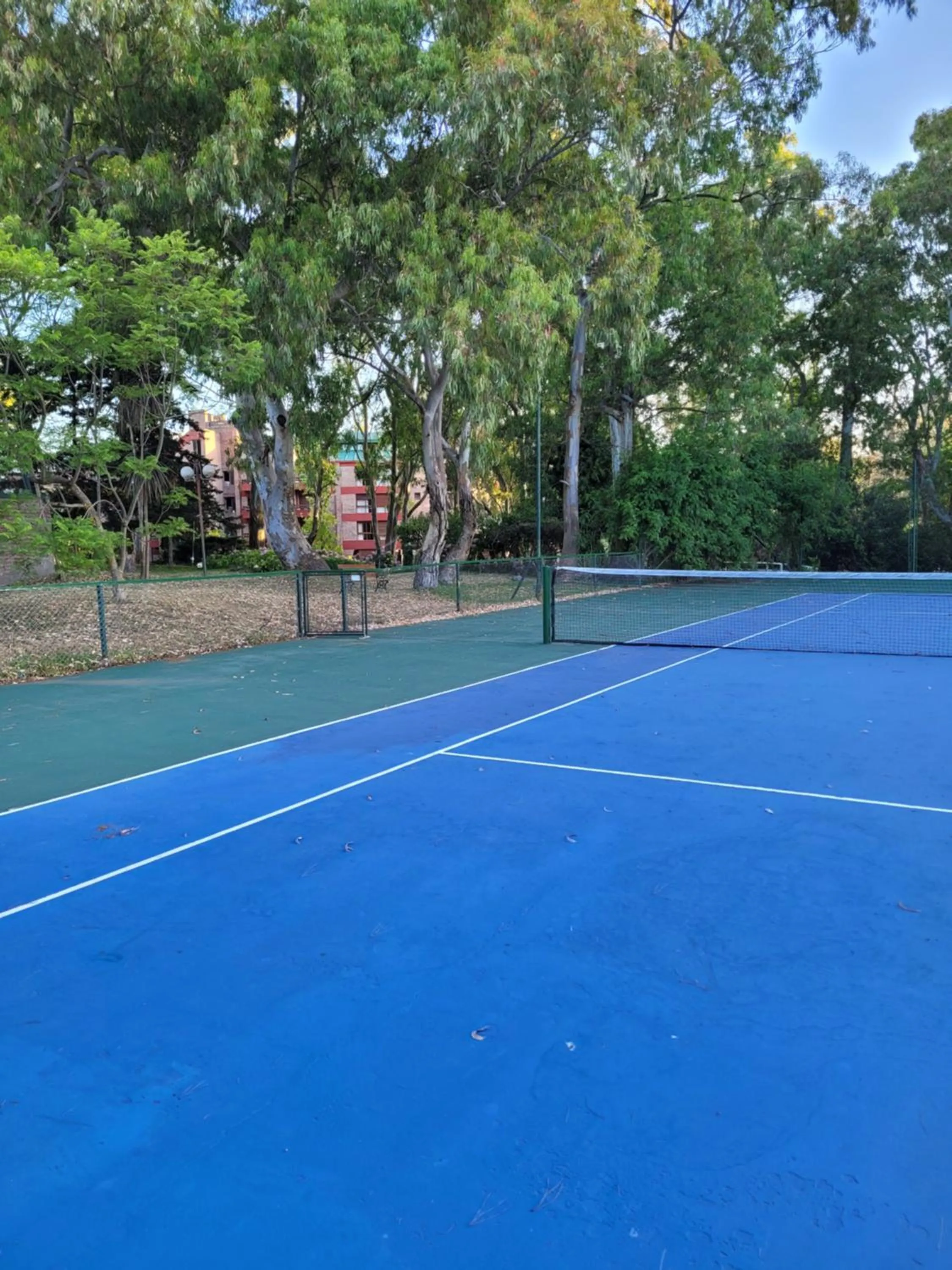 Tennis court in Hotel del Bosque