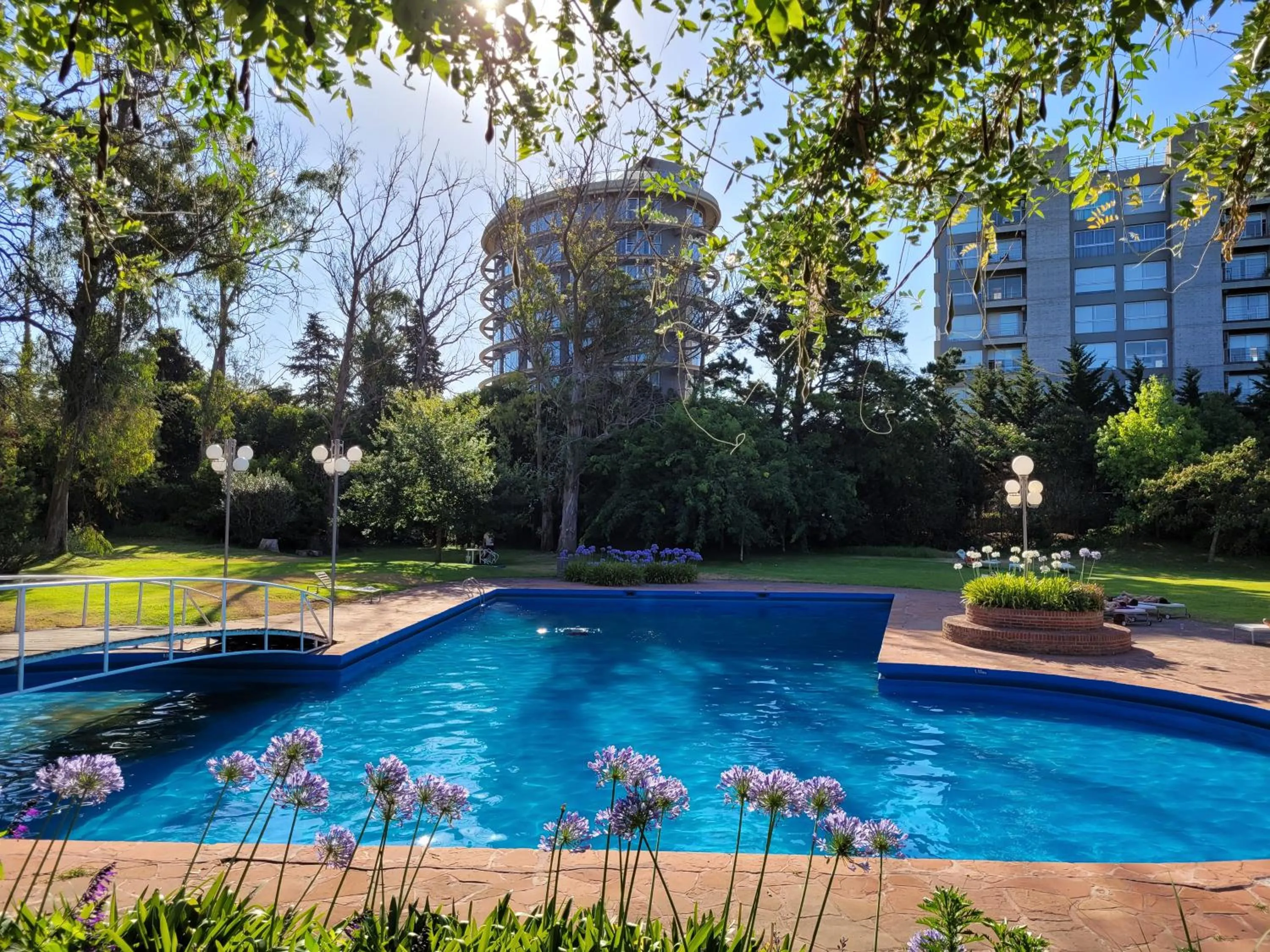 Swimming pool in Hotel del Bosque