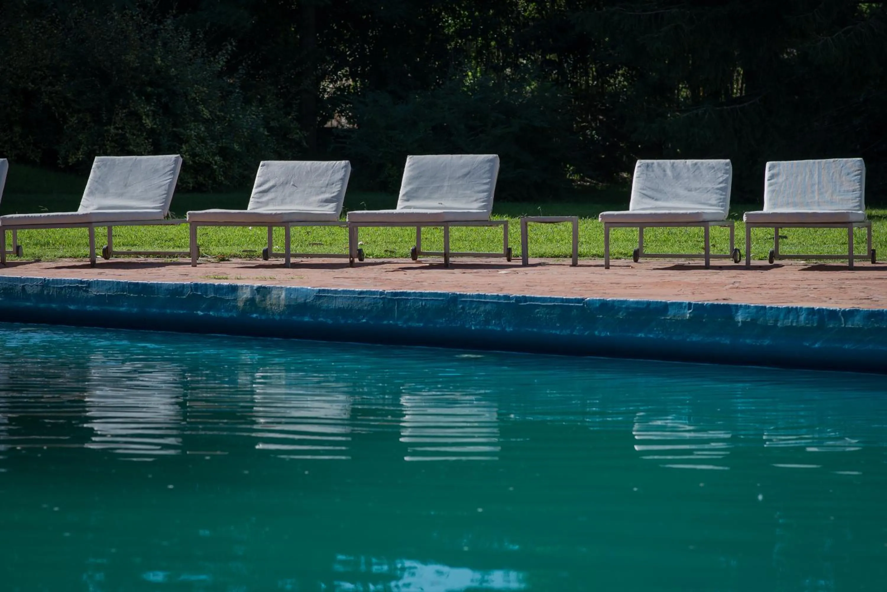 Swimming pool in Hotel del Bosque