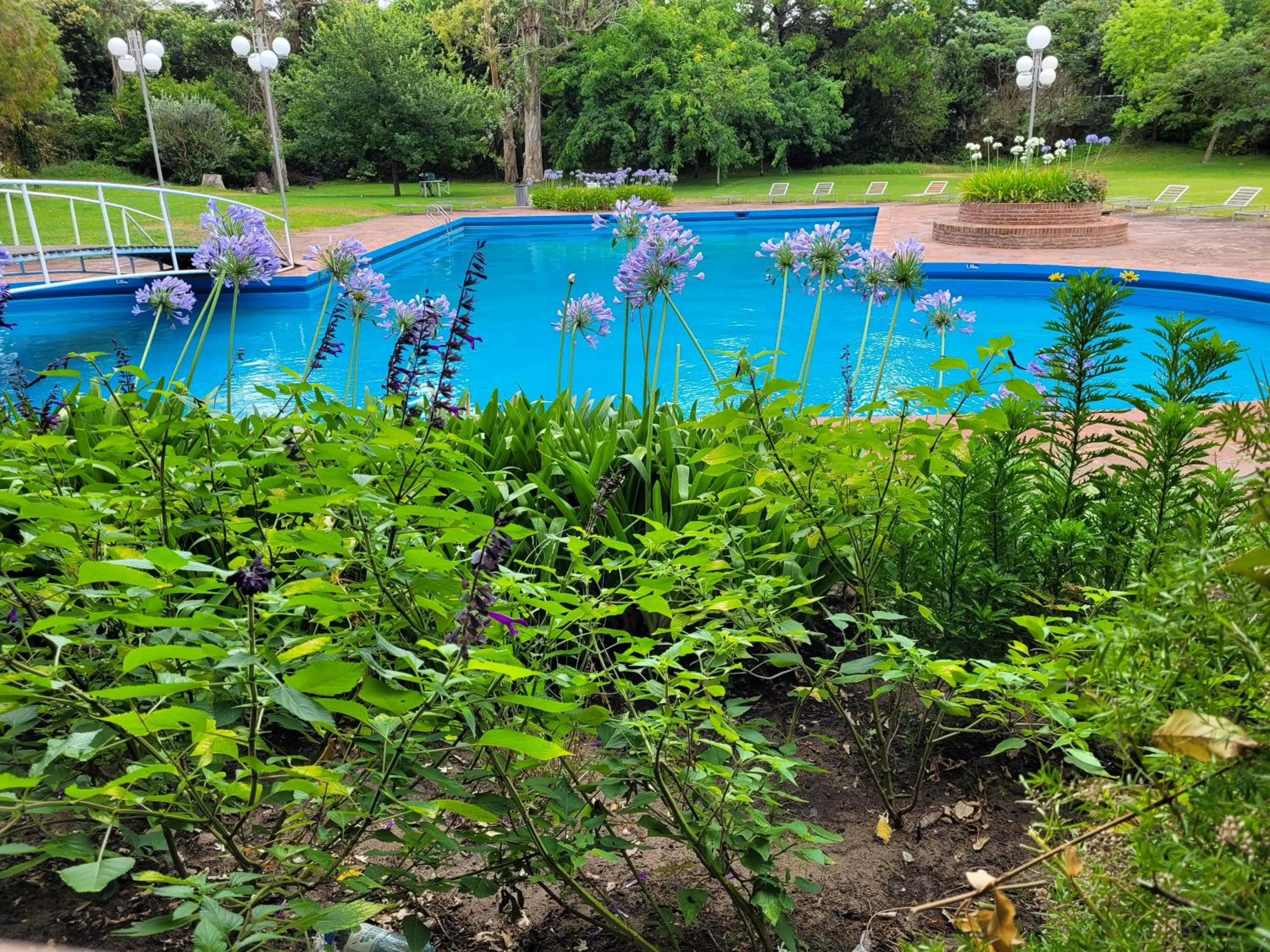 Swimming pool in Hotel del Bosque