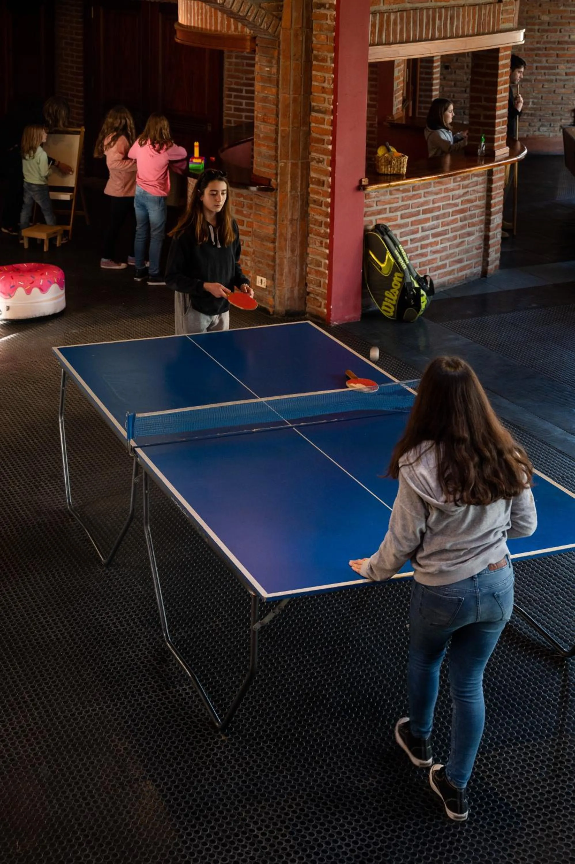 Game Room in Hotel del Bosque