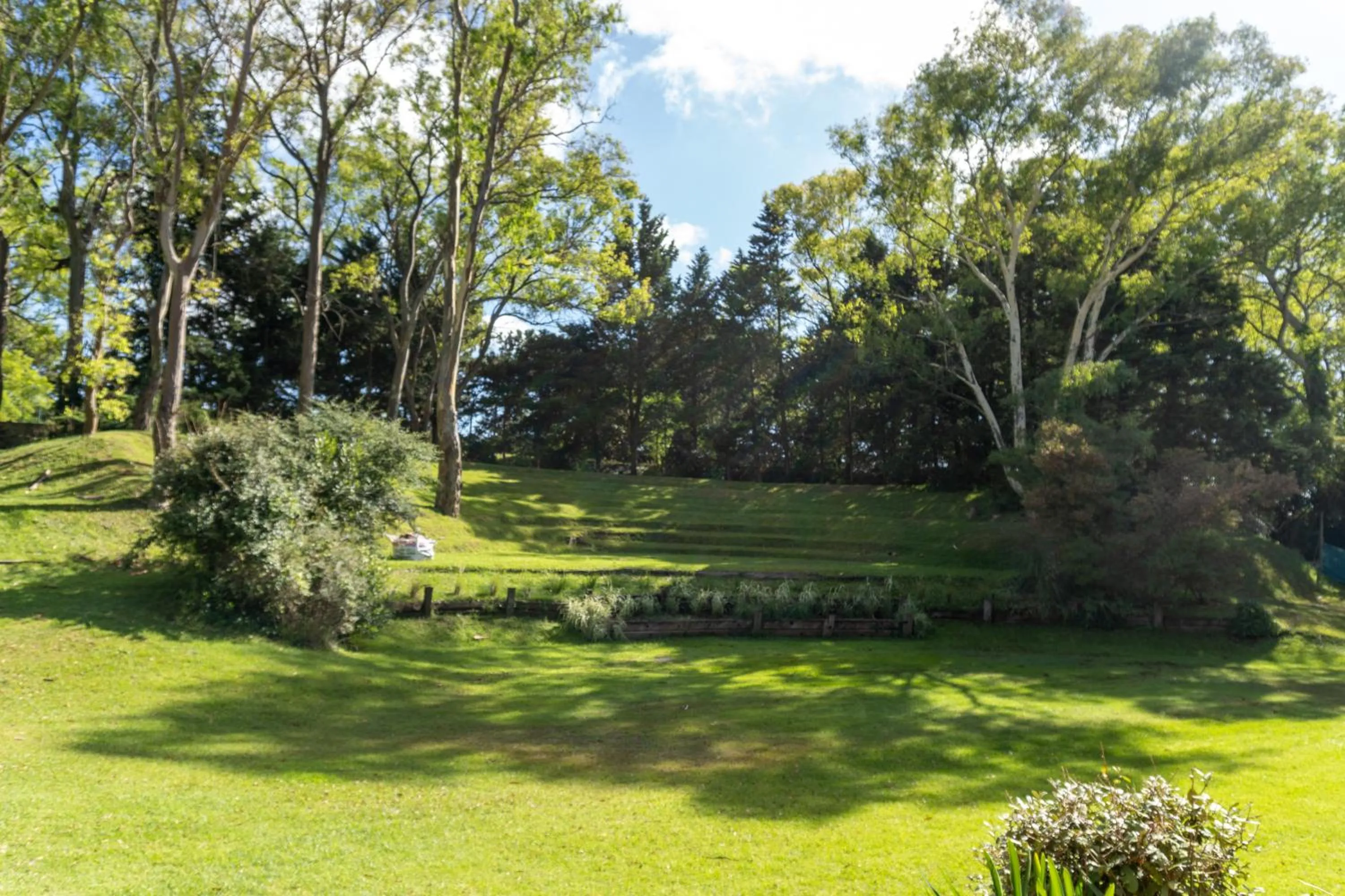 Garden in Hotel del Bosque