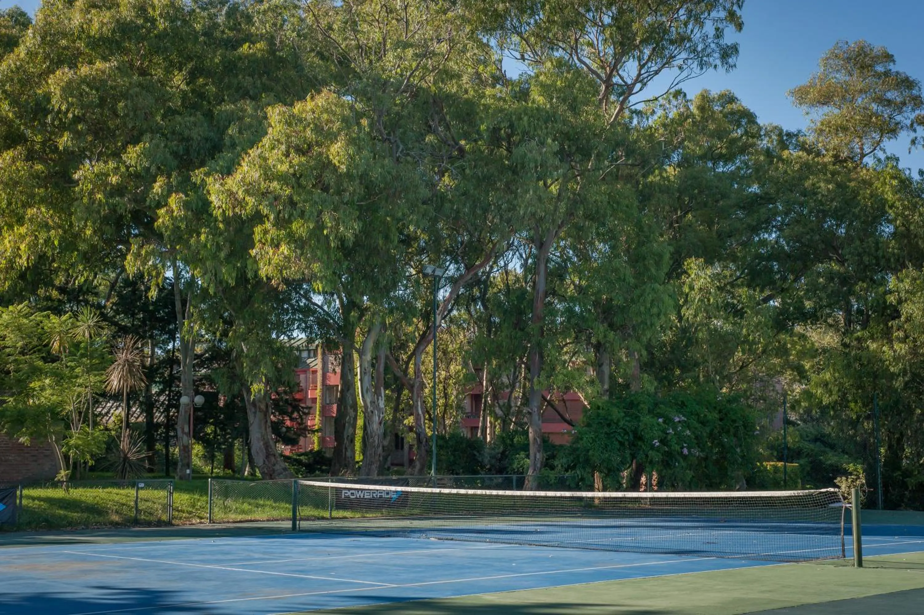 Tennis court in Hotel del Bosque