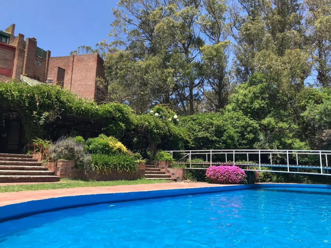 Garden in Hotel del Bosque