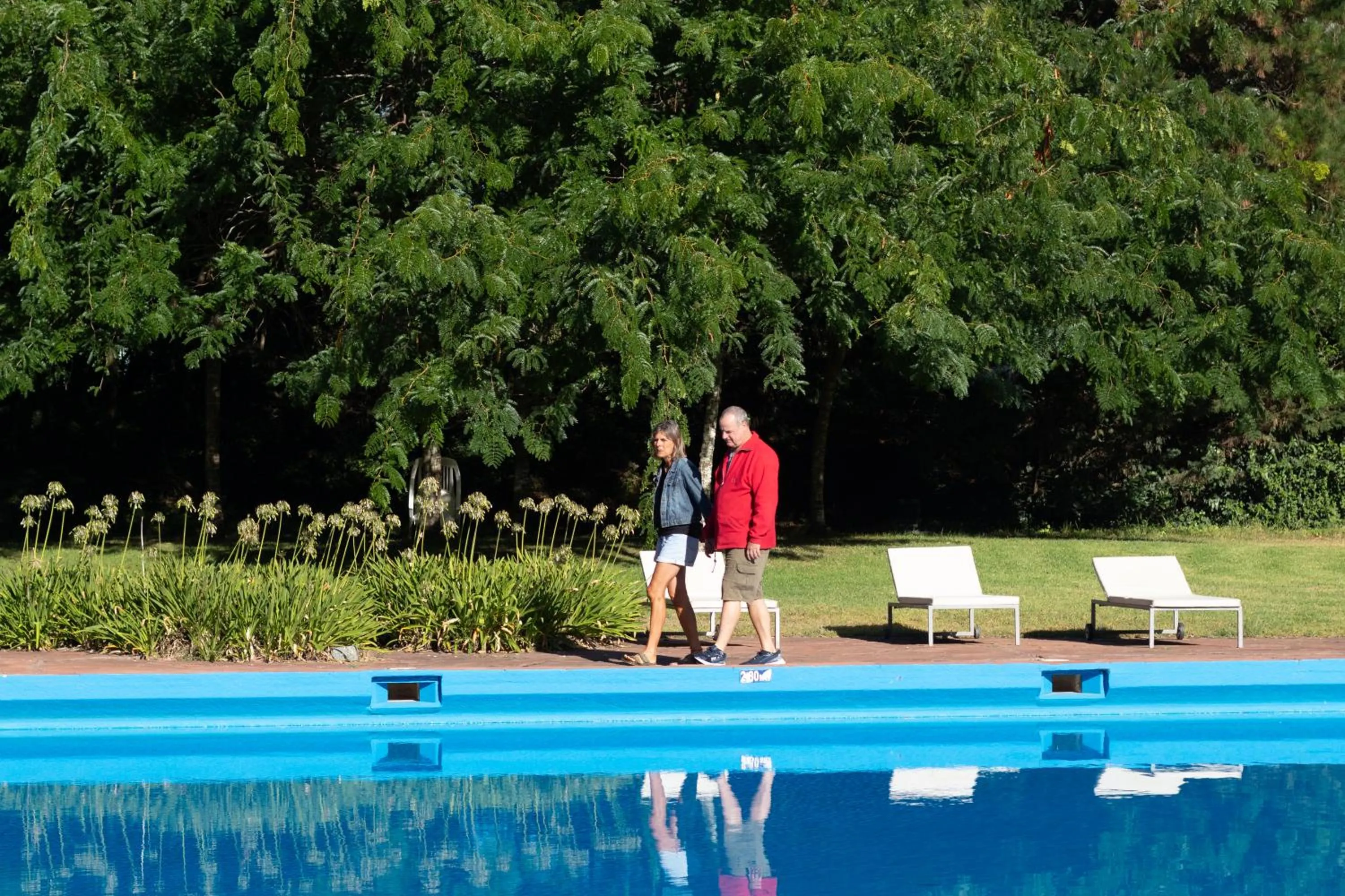 Swimming pool in Hotel del Bosque