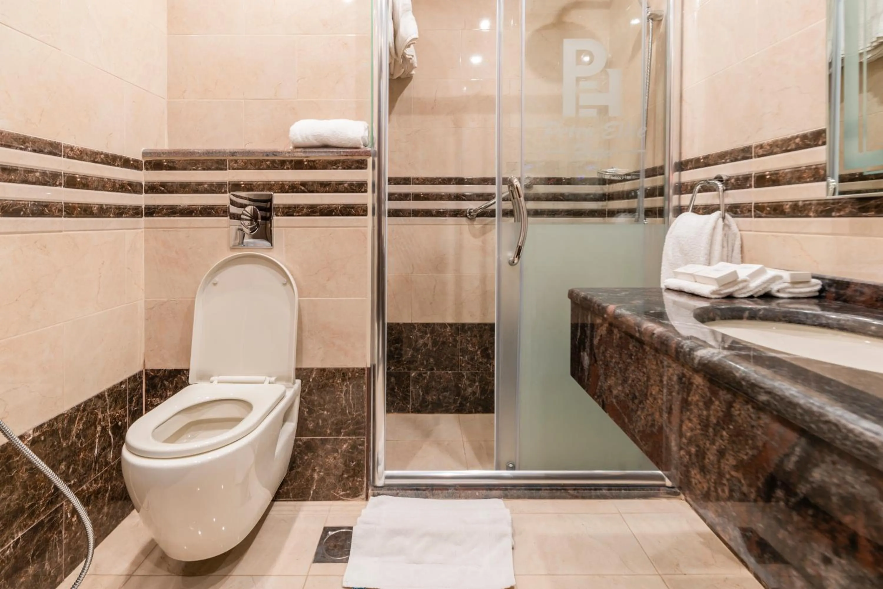 Bathroom in Petra Elite Hotel