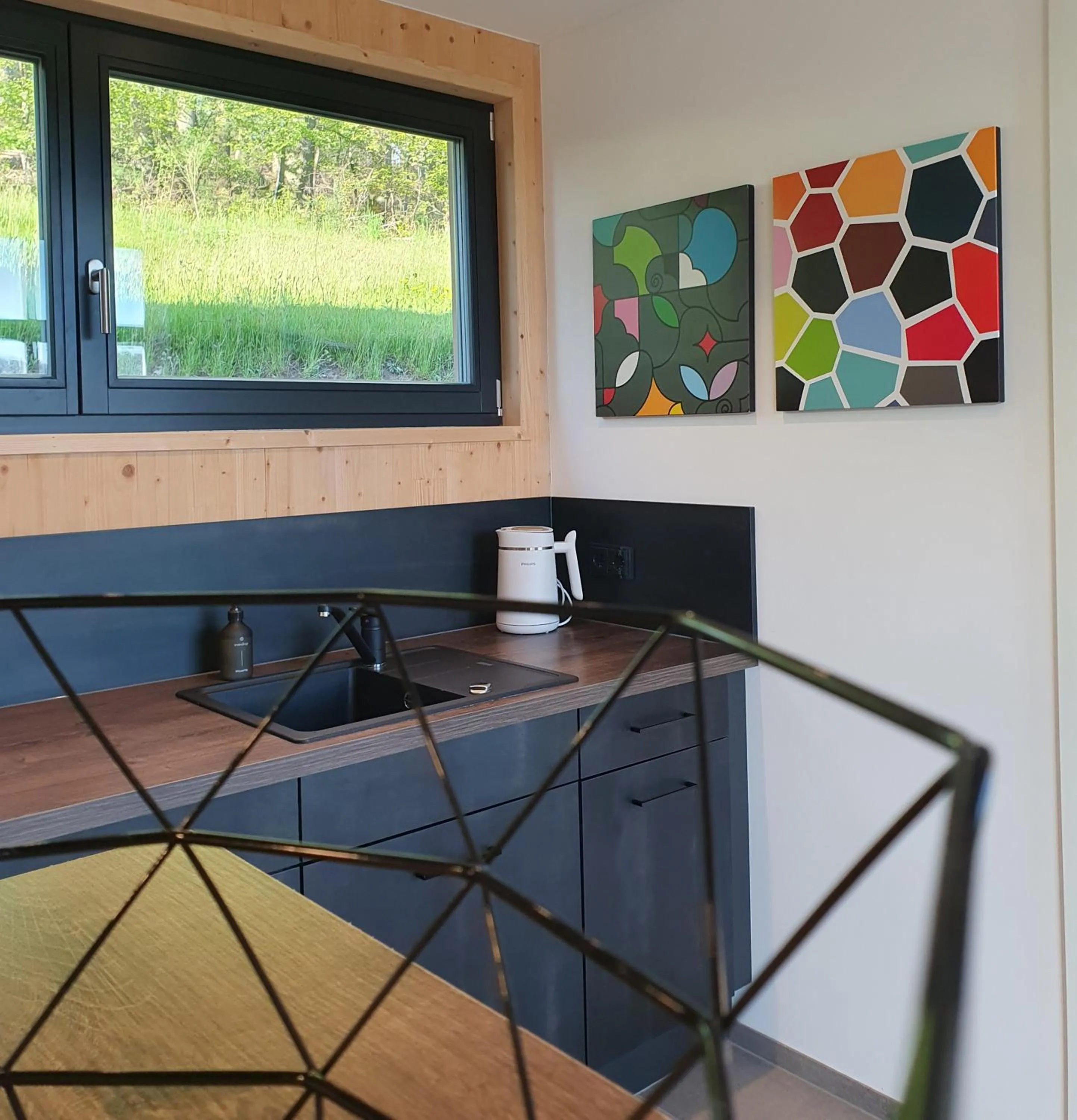 Kitchen or kitchenette in Odenwald-Lodge mit Infrarotsauna und E-Ladestation "Haus Purpur"