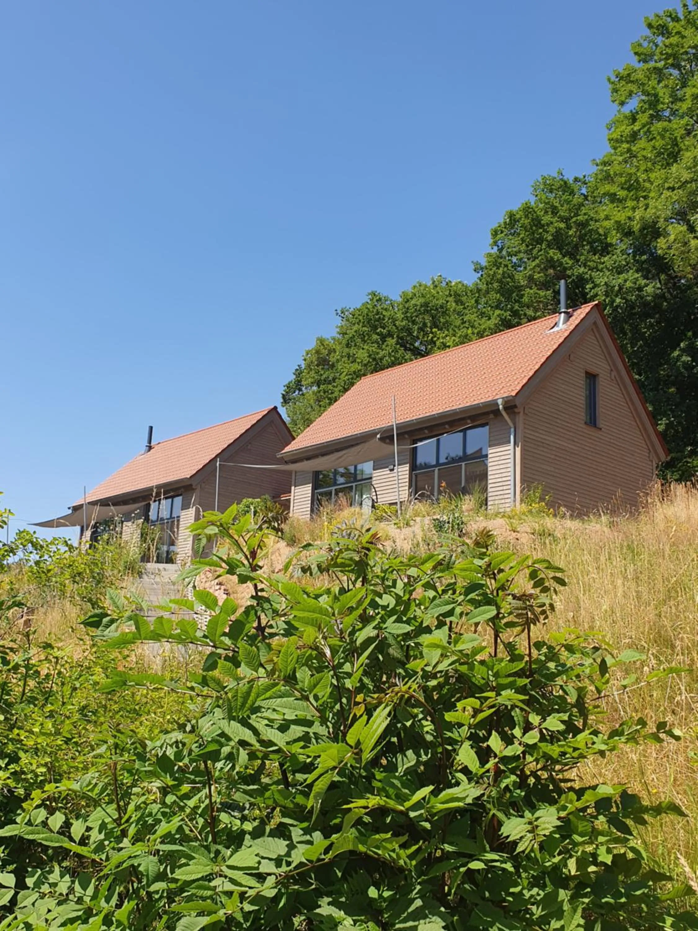 Odenwald-Lodge mit Infrarotsauna und E-Ladestation "Haus Purpur"