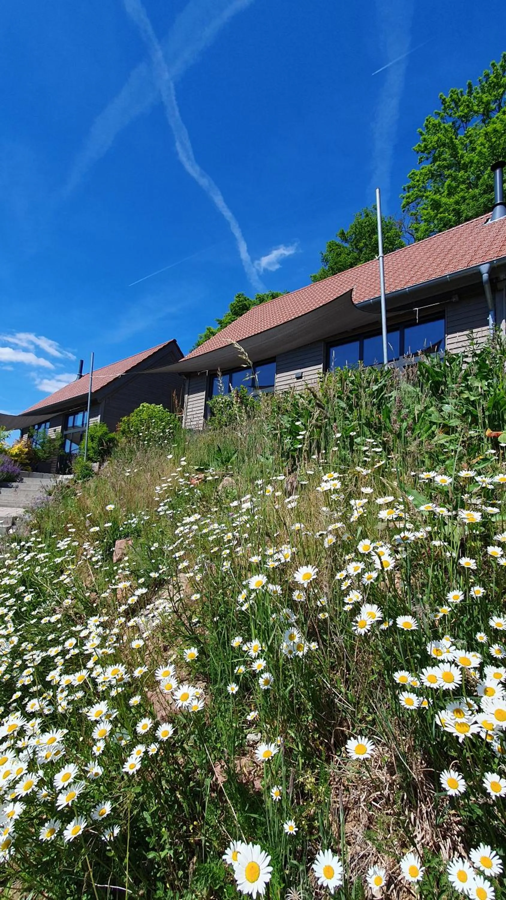 Odenwald-Lodge mit Infrarotsauna und E-Ladestation "Haus Purpur"