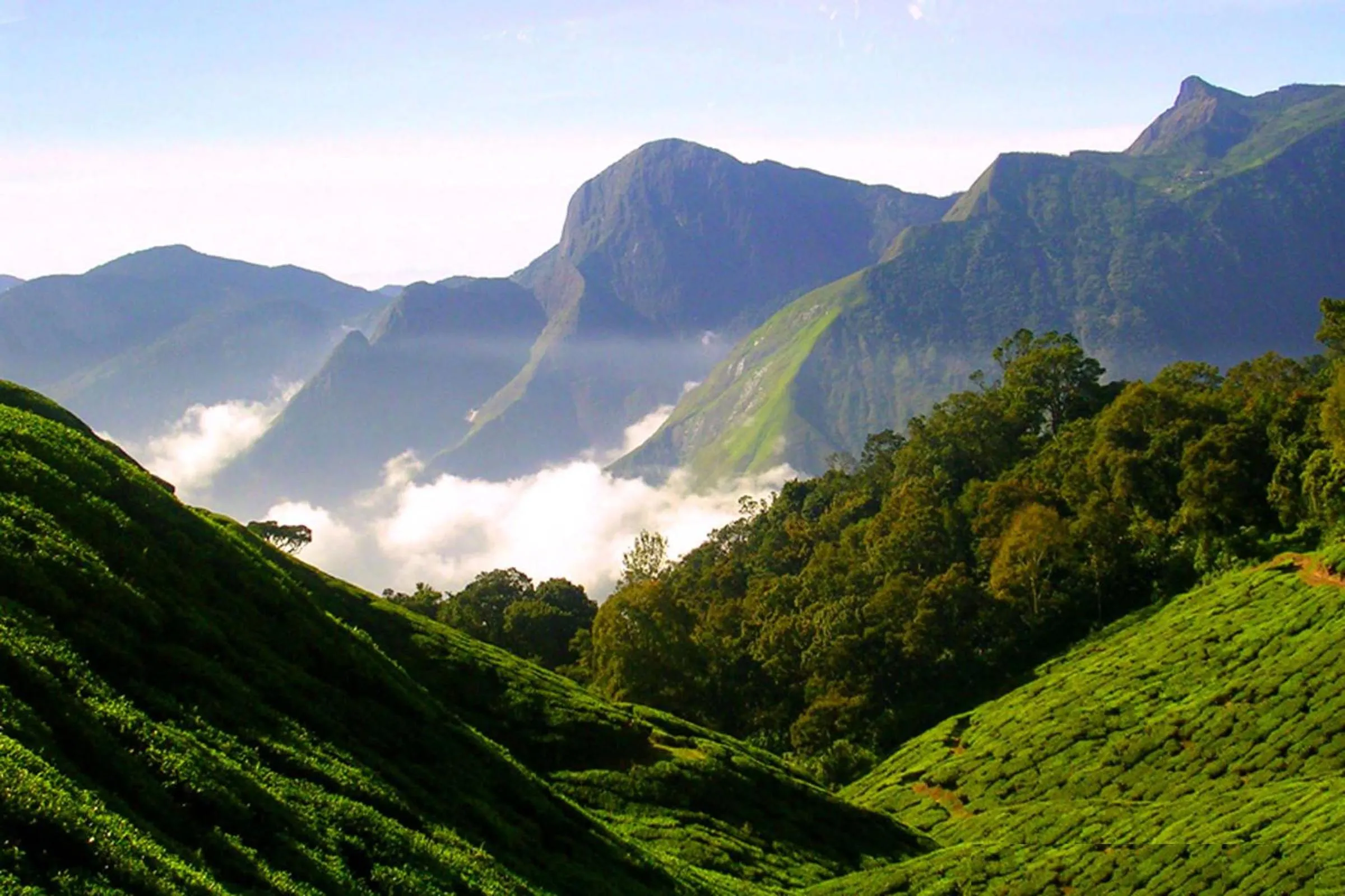 Nearby landmark in Mistica Munnar